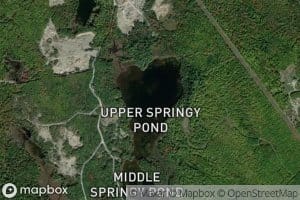 Upper Springy Pond