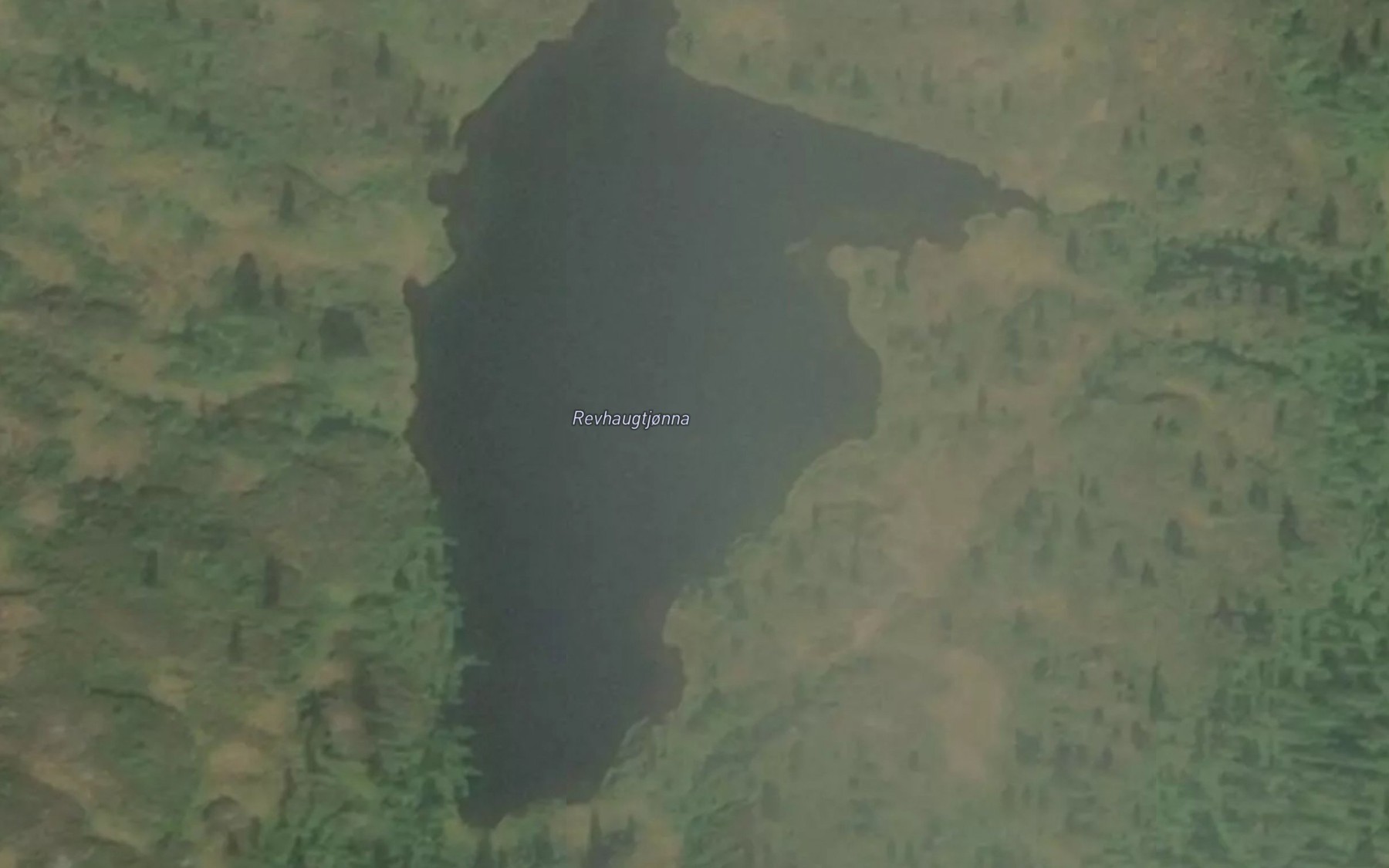 Satellite map of the Revhaugtjonna