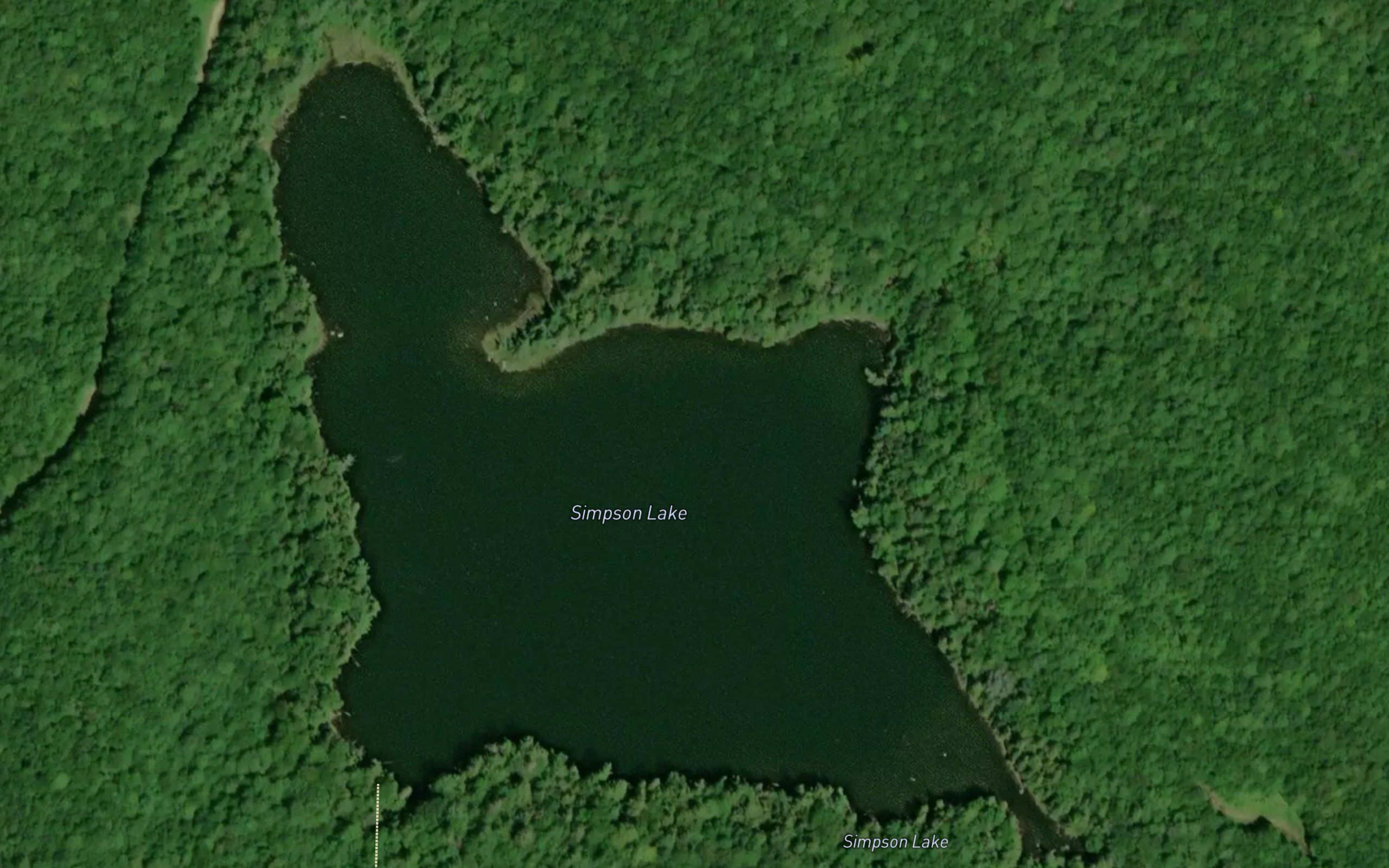 Simpson Lake