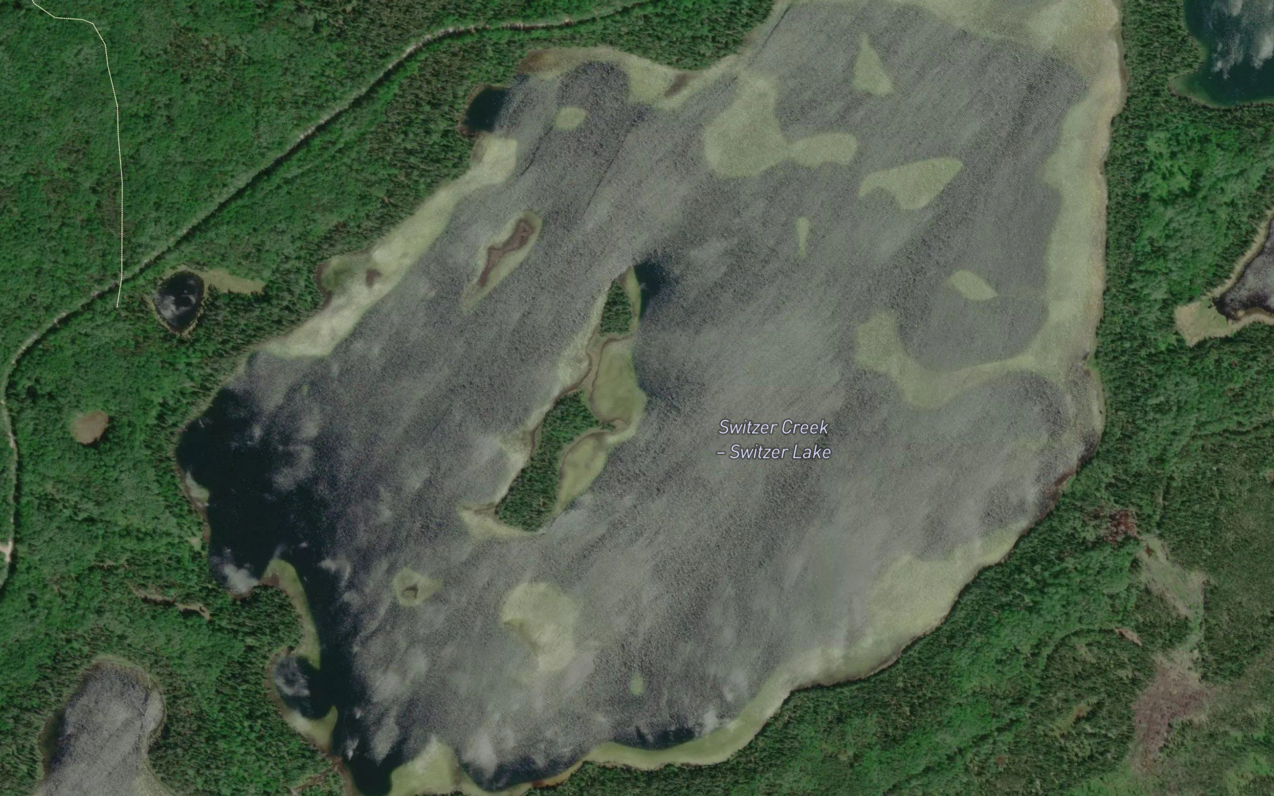 Switzer Lake