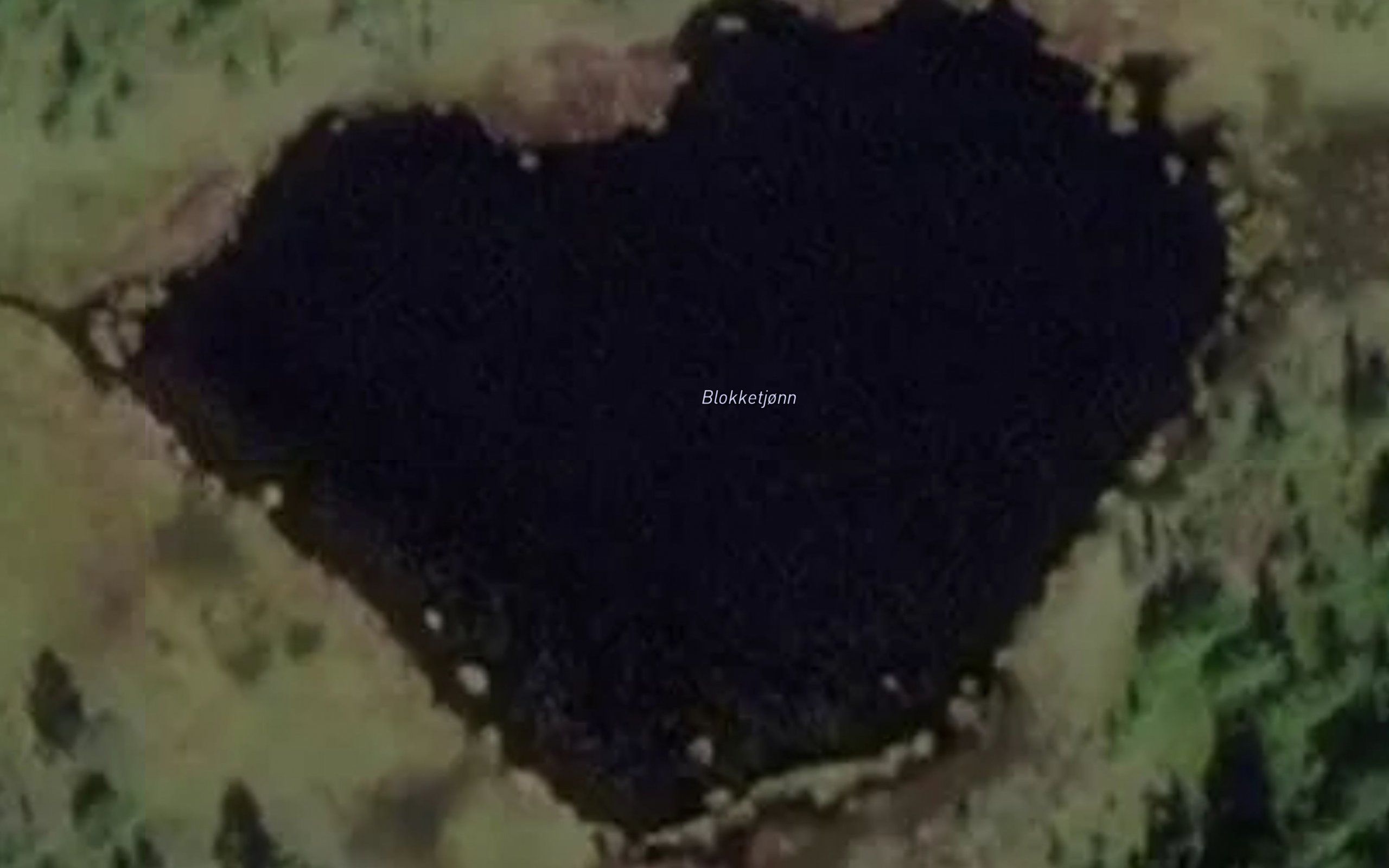 Blokketjonn