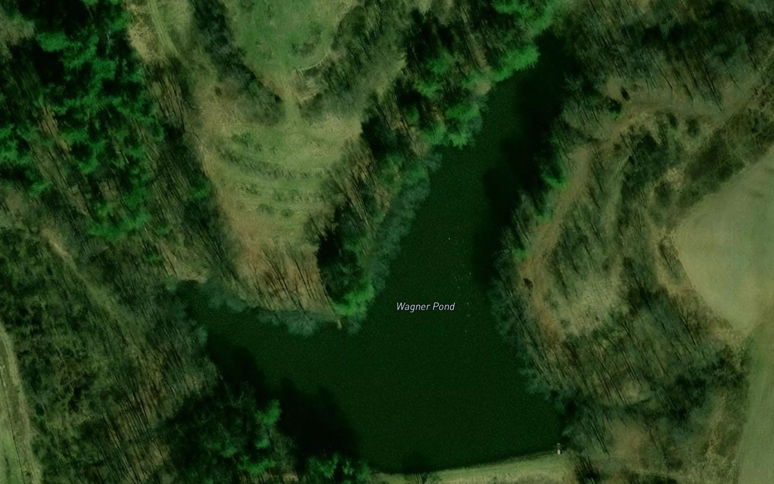 Wagner Pond