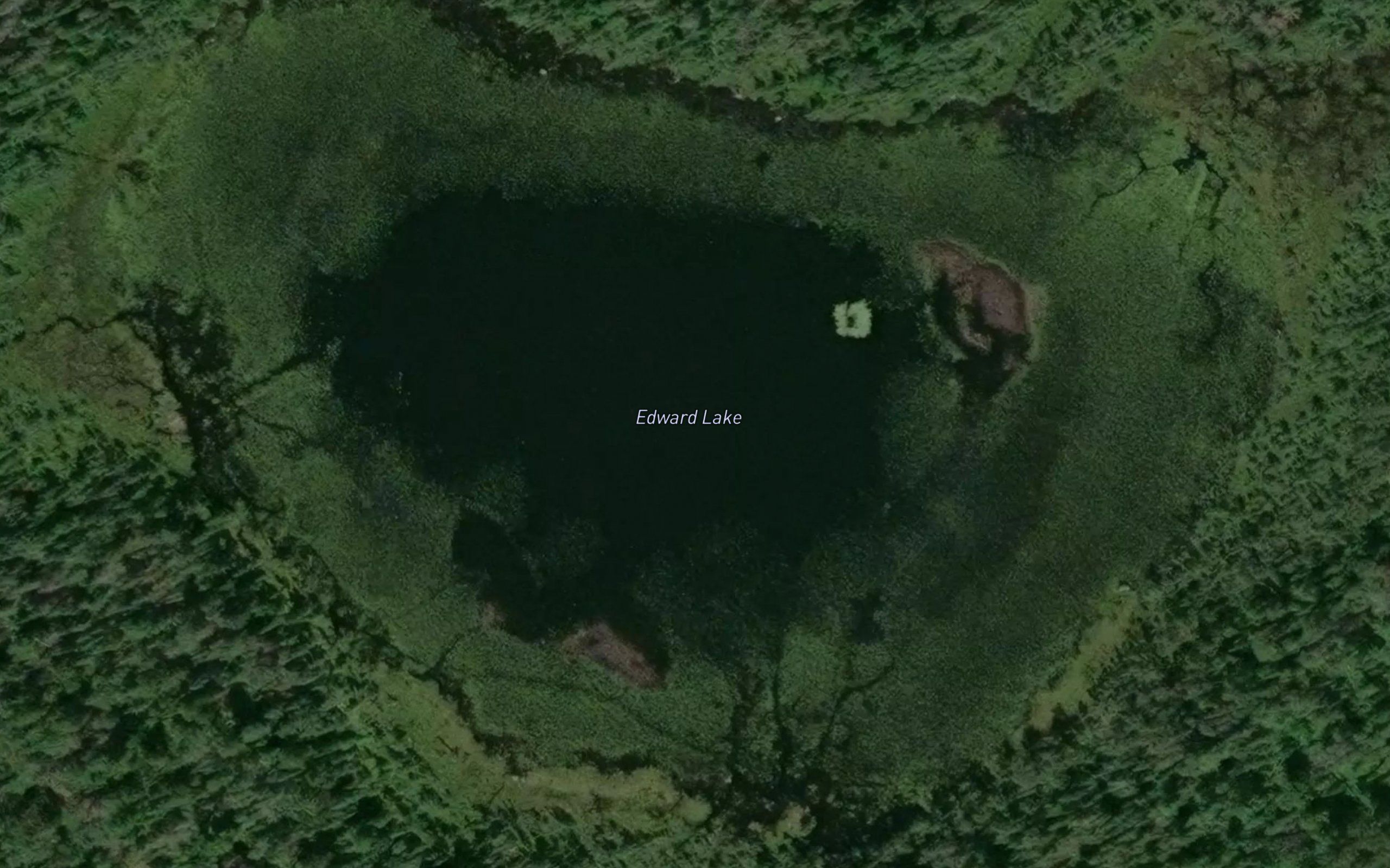 Edward Lake