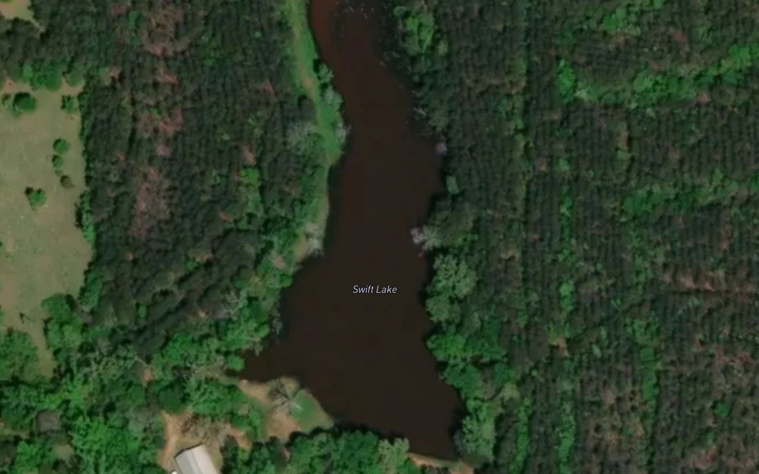 Swift Lake