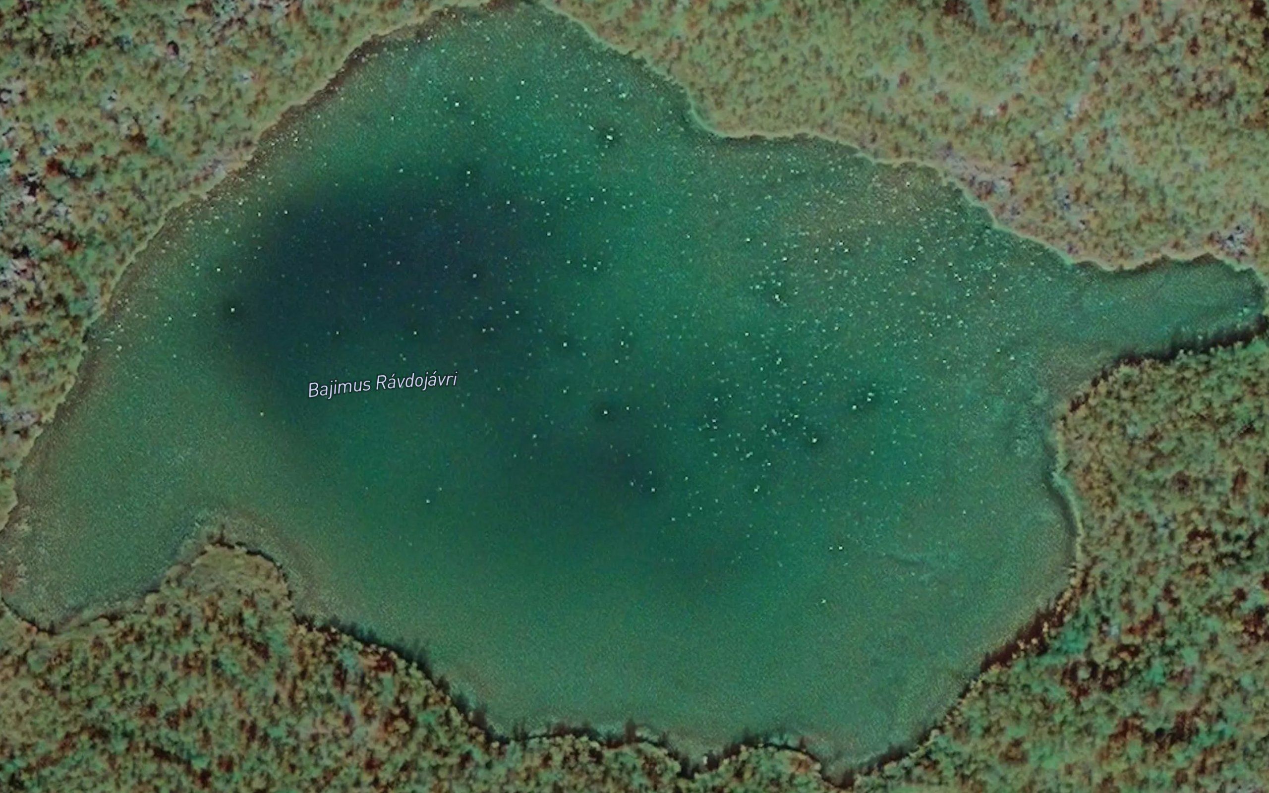 Ravdujavri,bajimus
