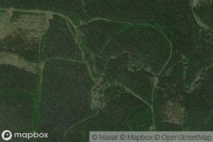 Nemkina-Shelomovskaya