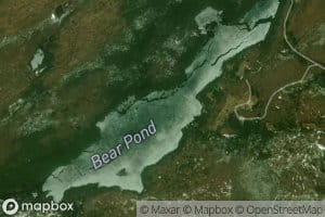 Bear Pond