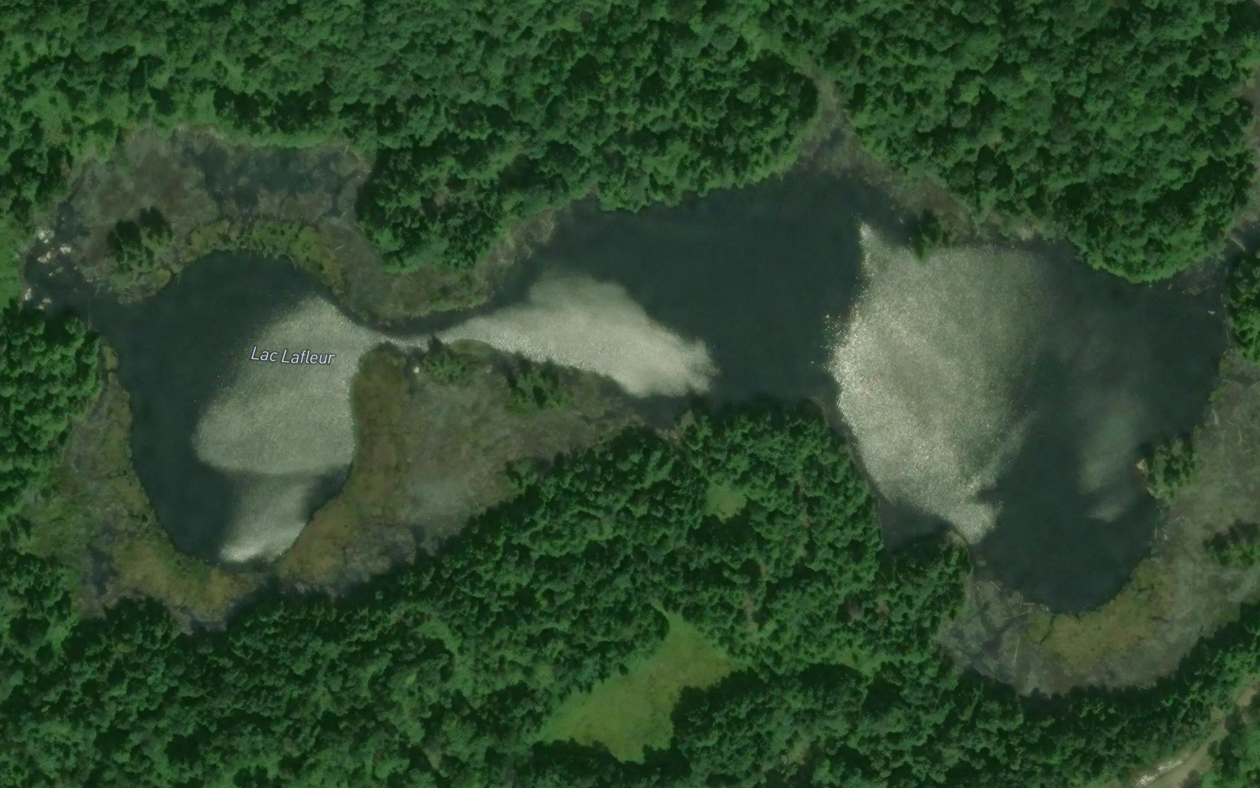 Lac Lafleur