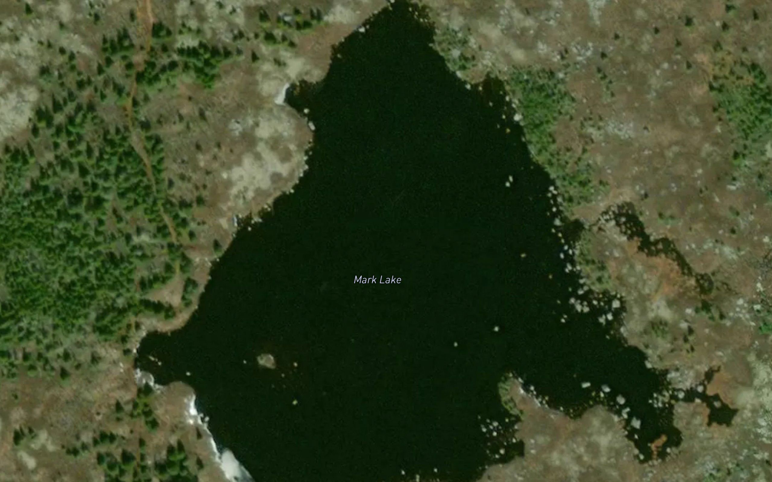 Mark Lake