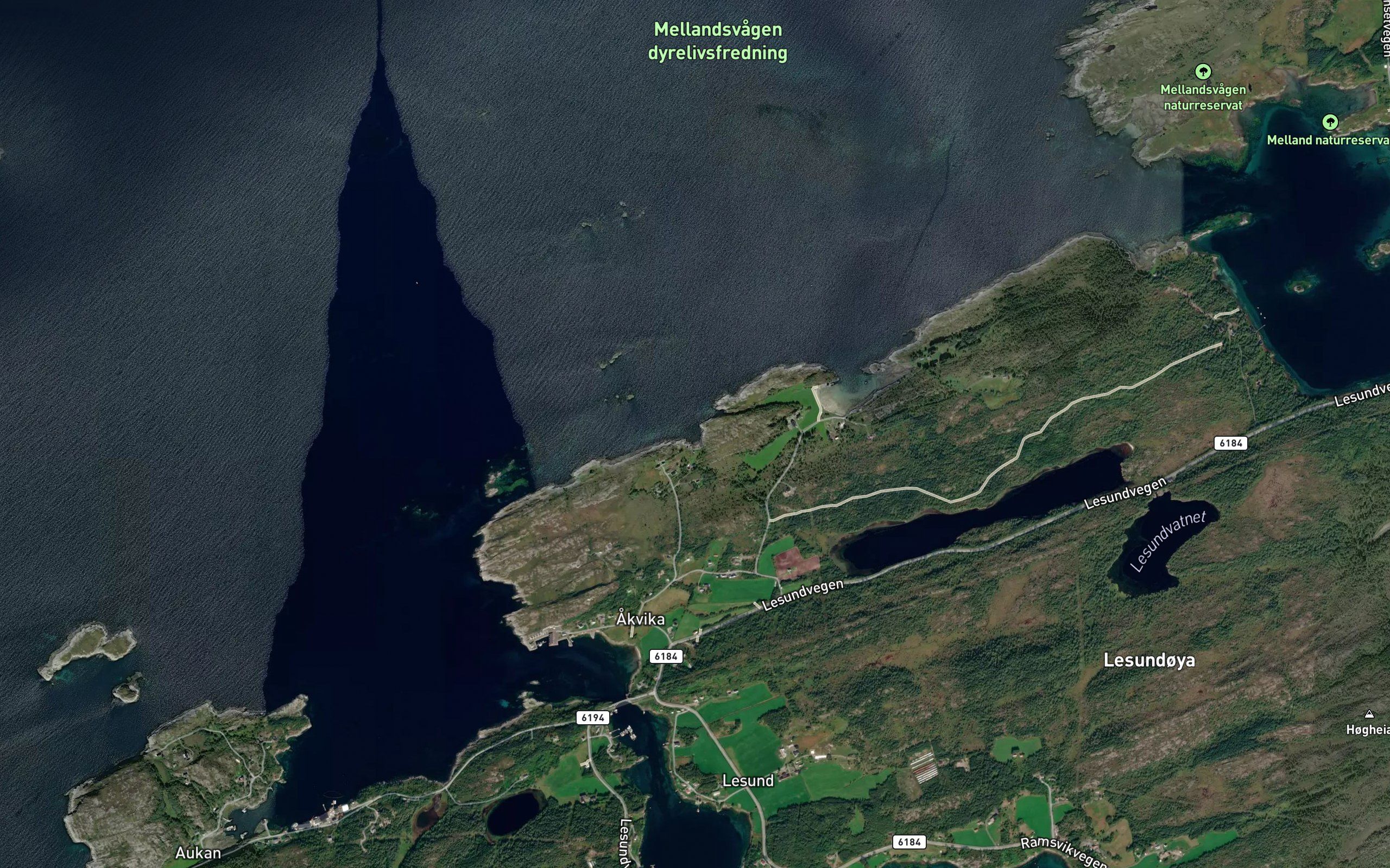 Kavikbukta