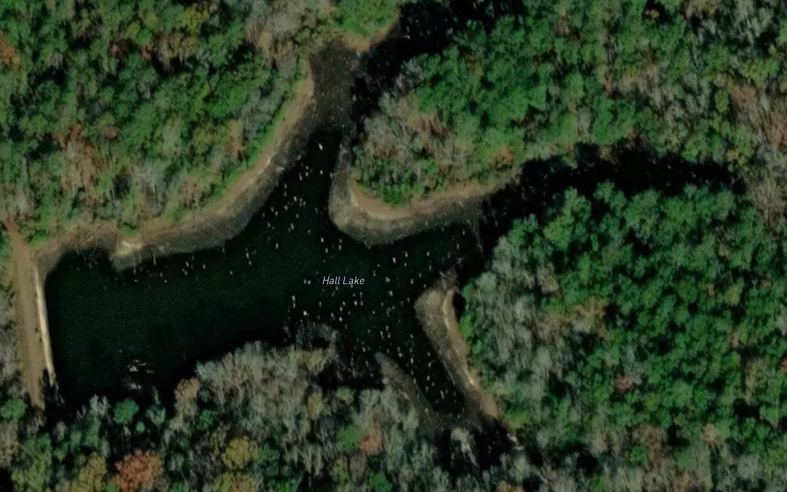 Hall Lake