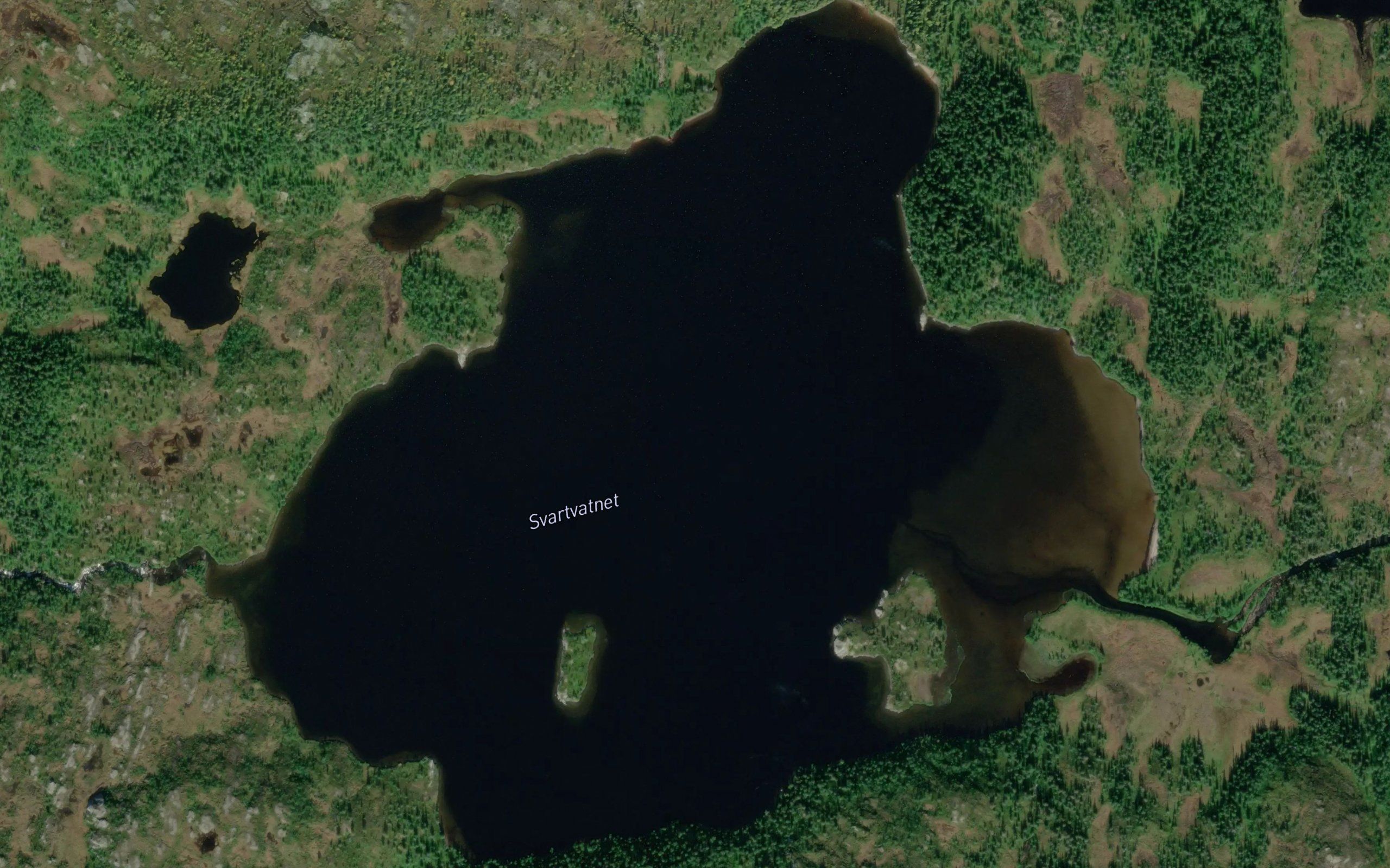 Svartvatnet