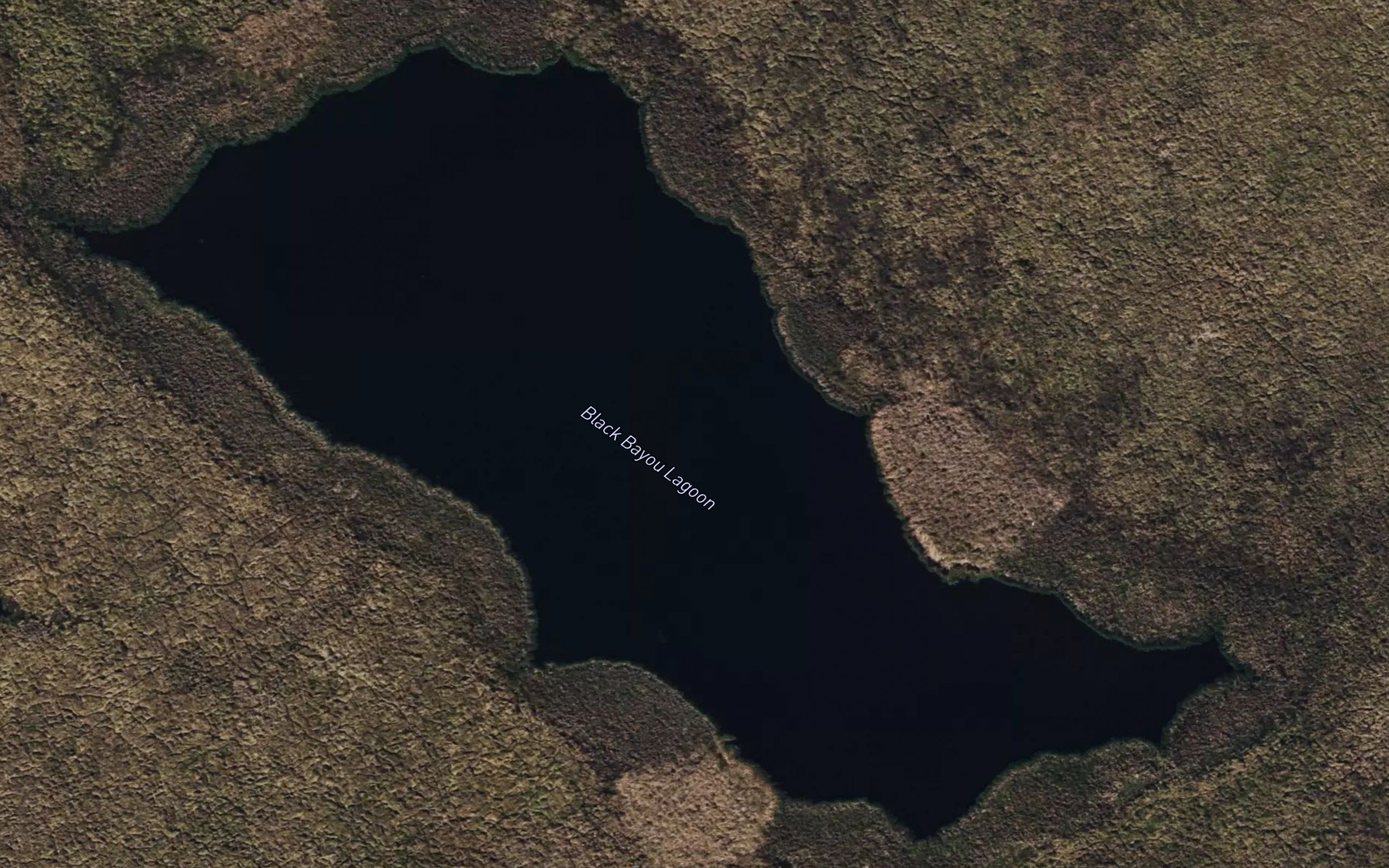 Black Bayou Lagoon