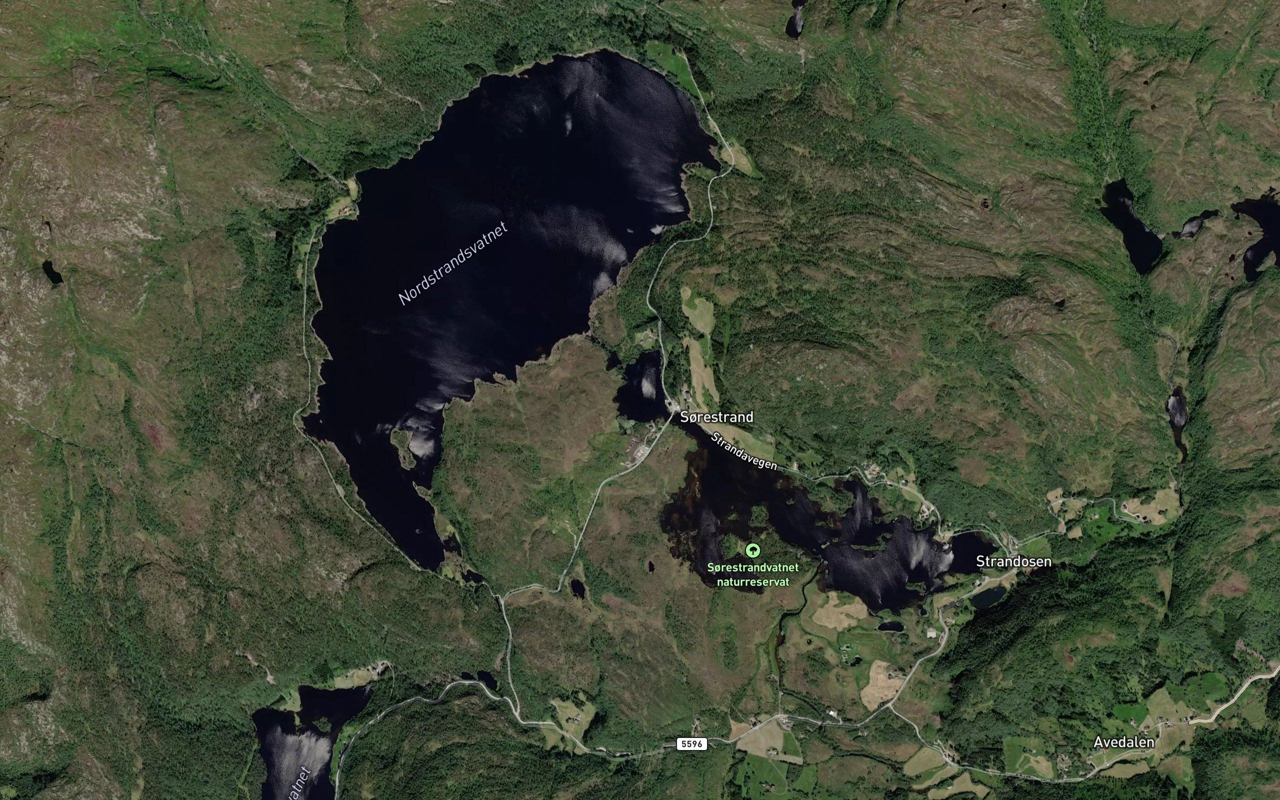 Stroketjorna