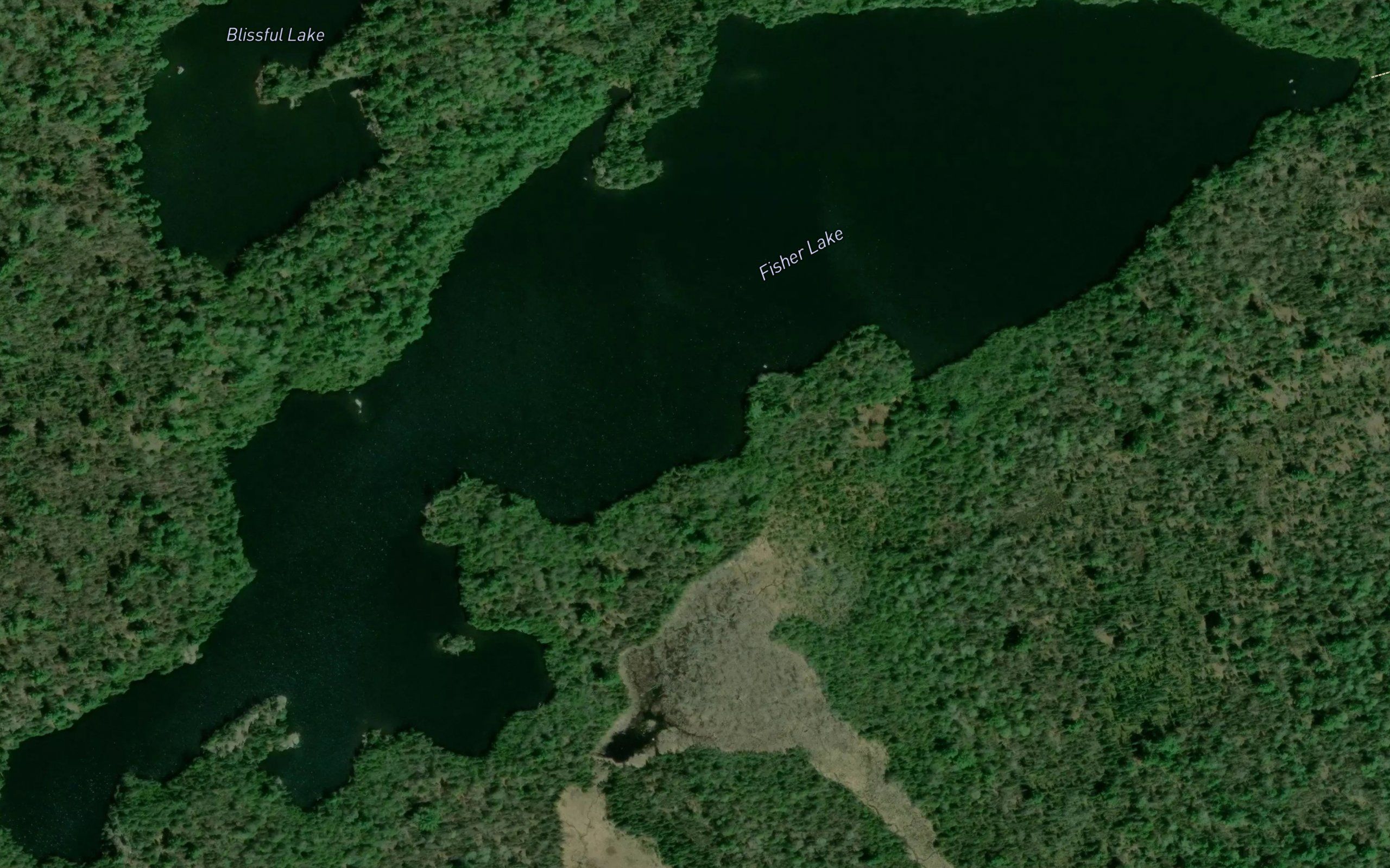 Fisher Lake