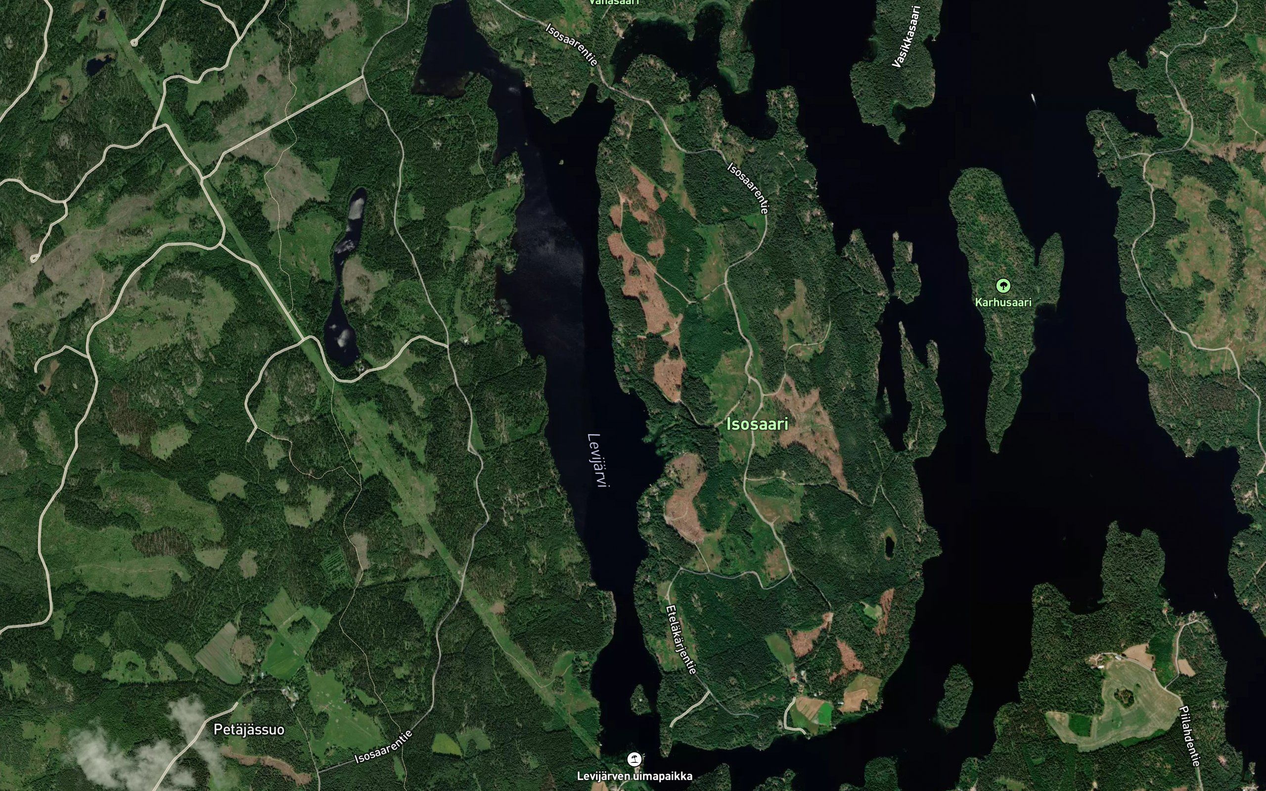Tammilahti