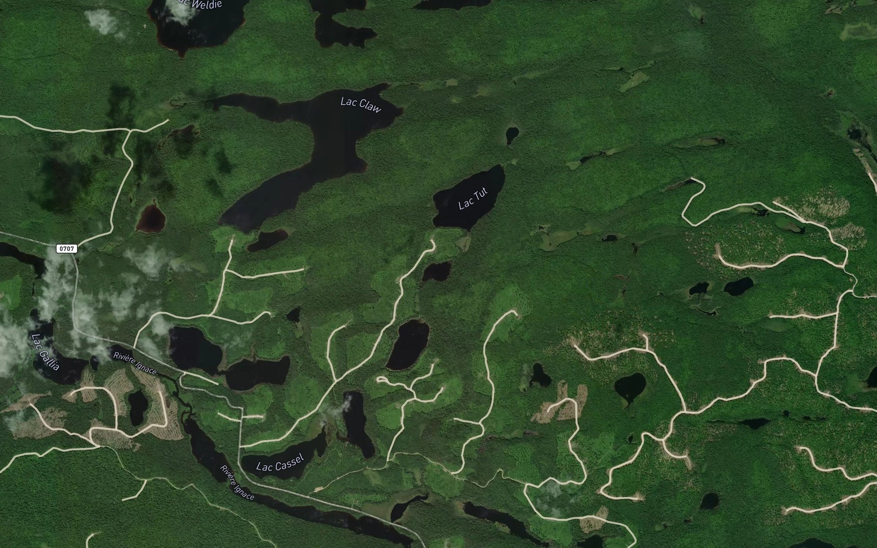 Satellite map of the Lac du Bois Blanc