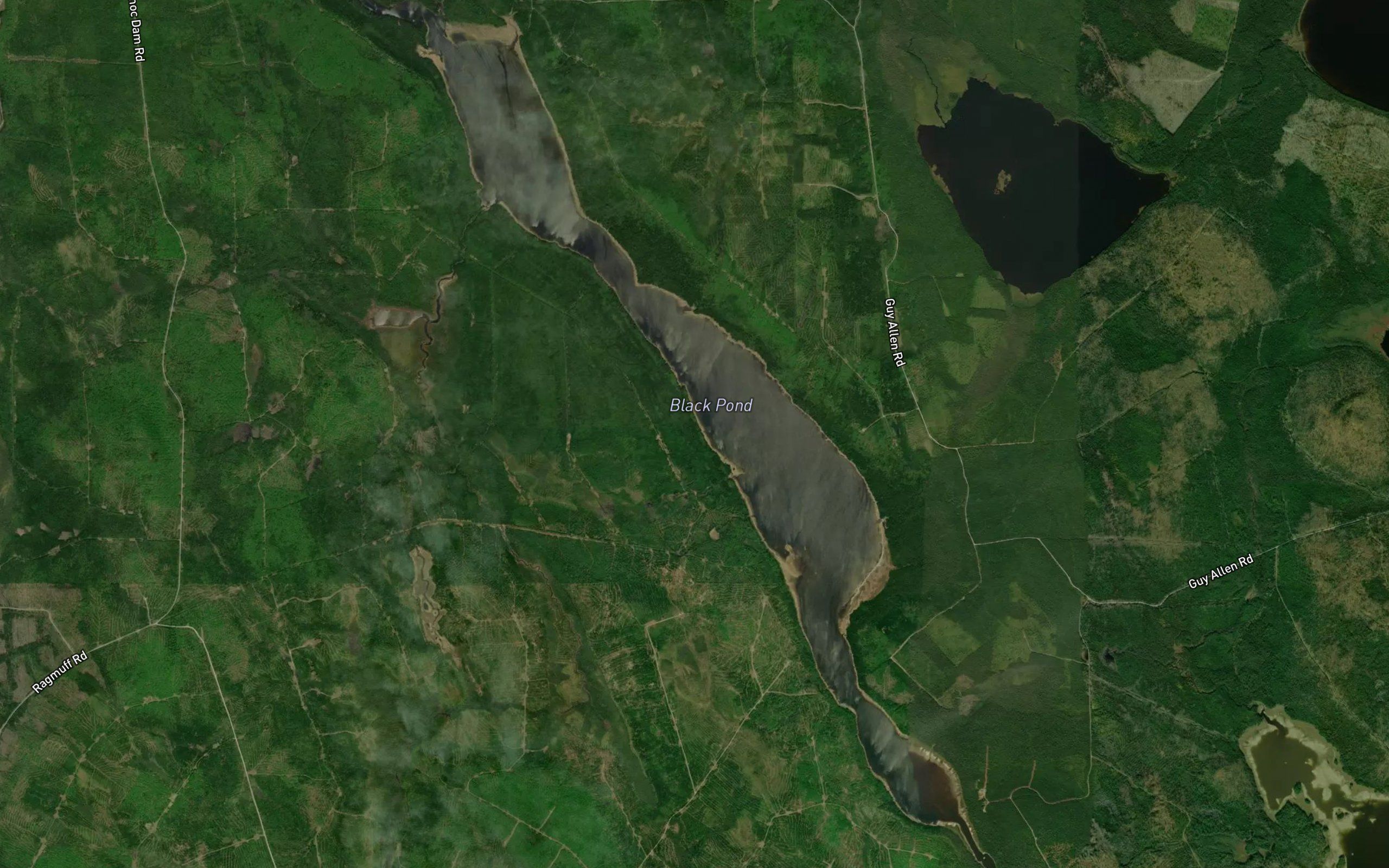 Black Pond