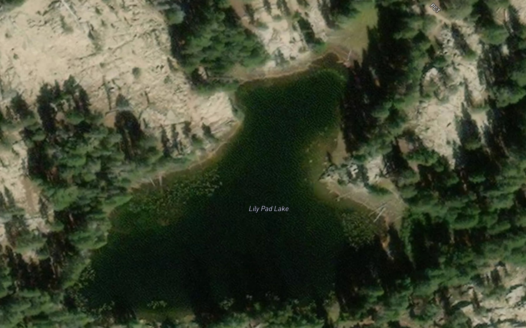 Satellite map of the Lily Pad Lake
