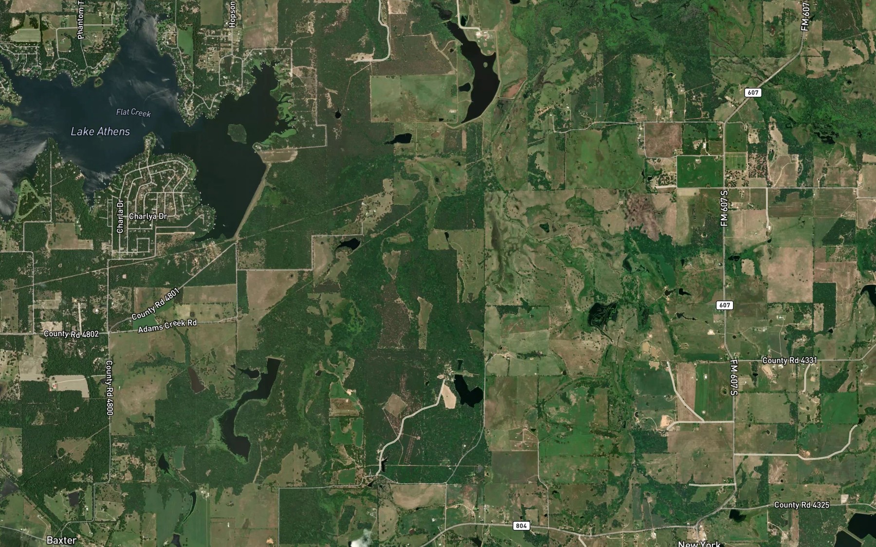 Satellite map of the Dogwood Acres Lake