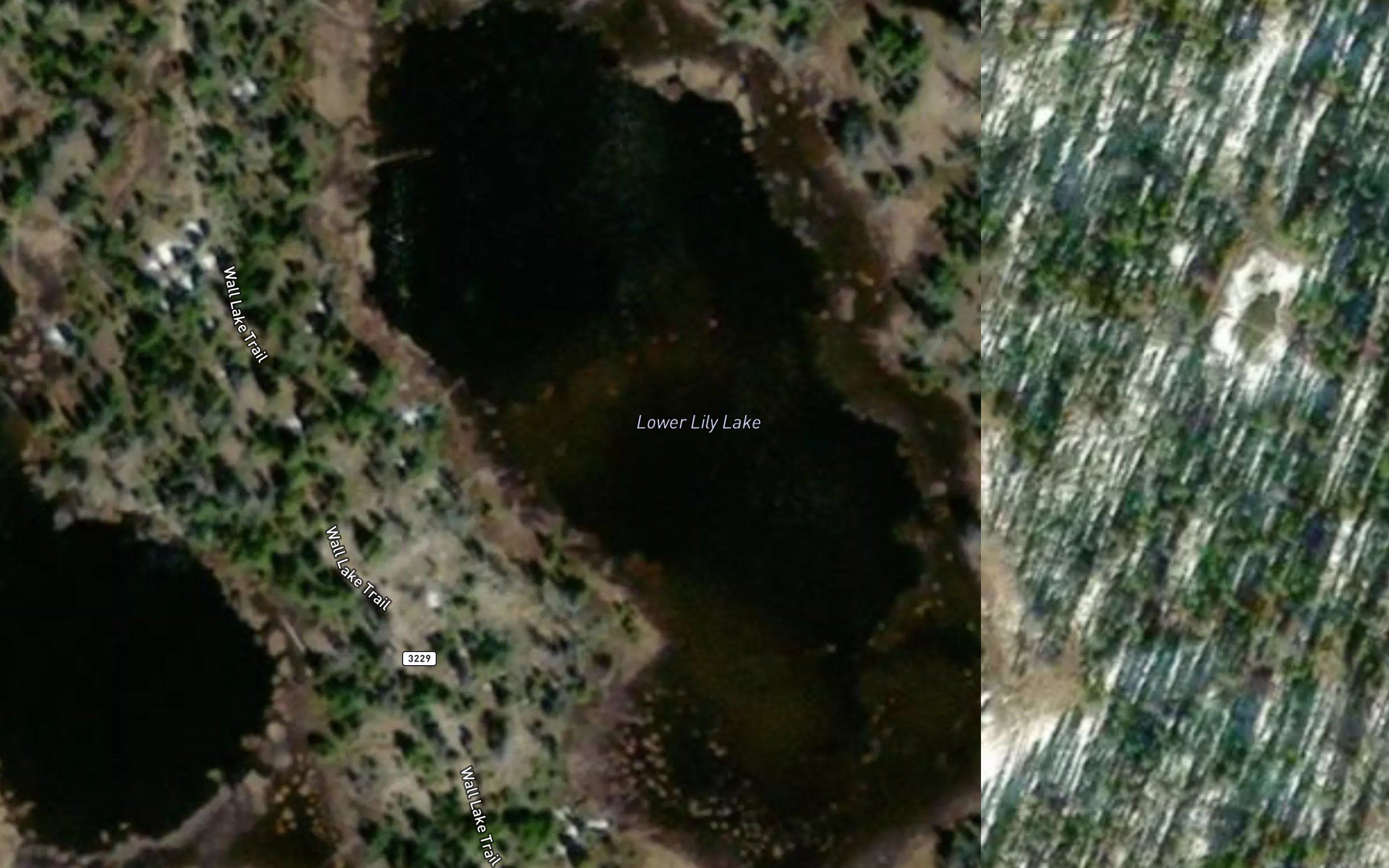 Lily Lakes