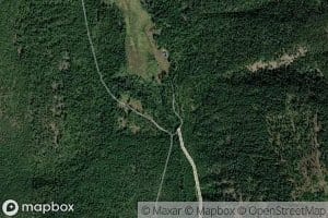 Harvey Creek