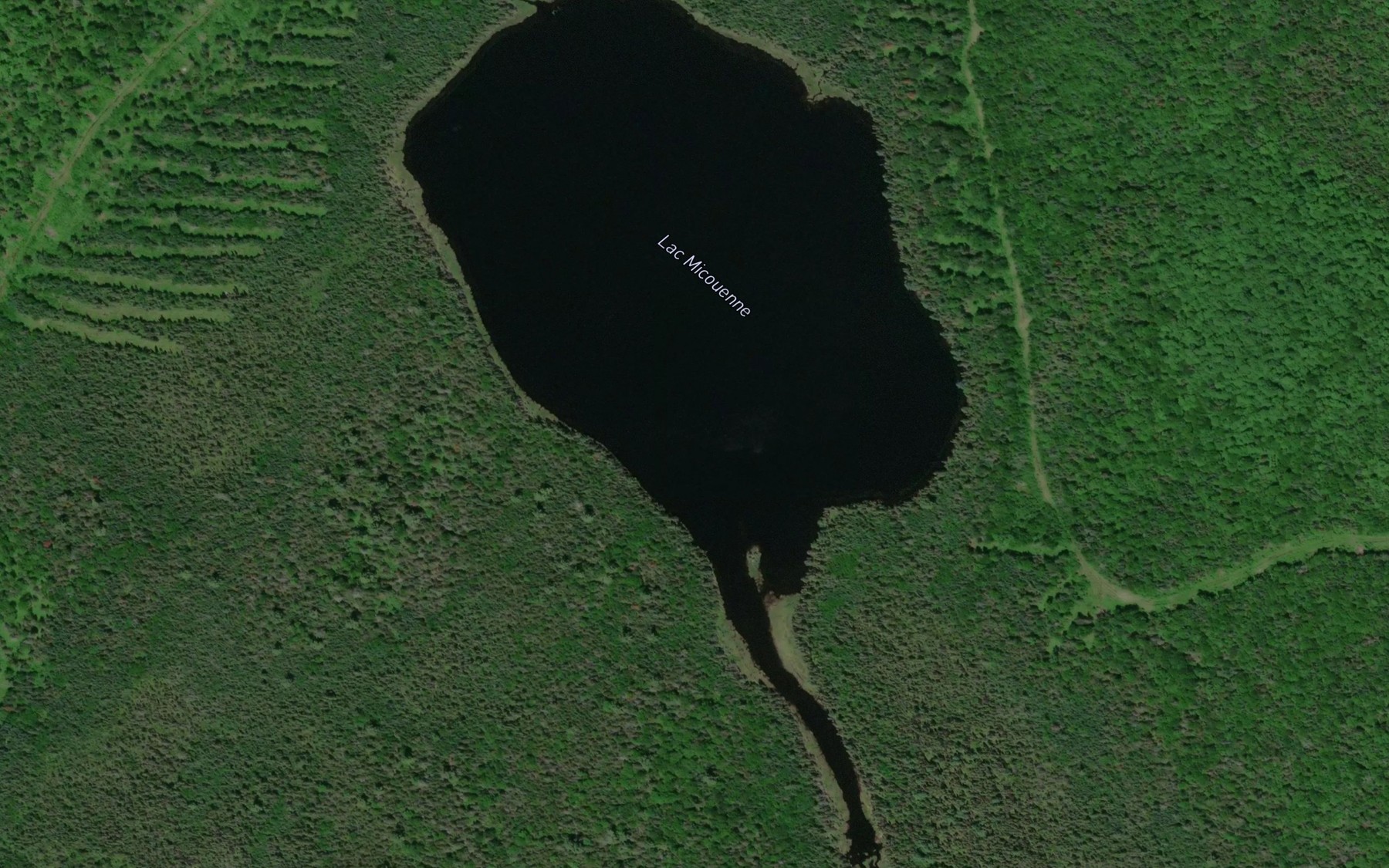 Satellite map of the Lac Micouenne