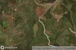 Barranca El Zapote Raizudo