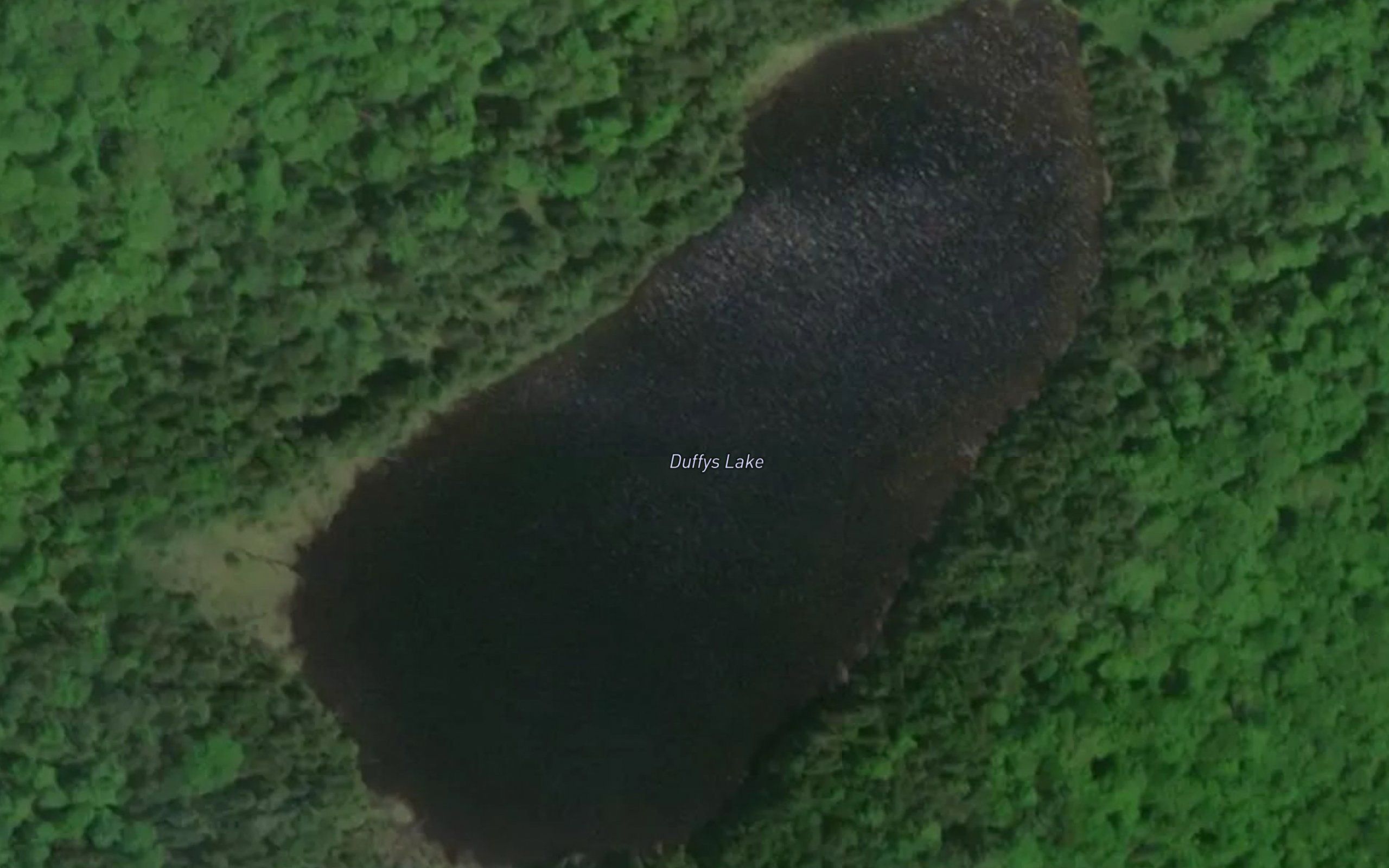 Duffys Lake