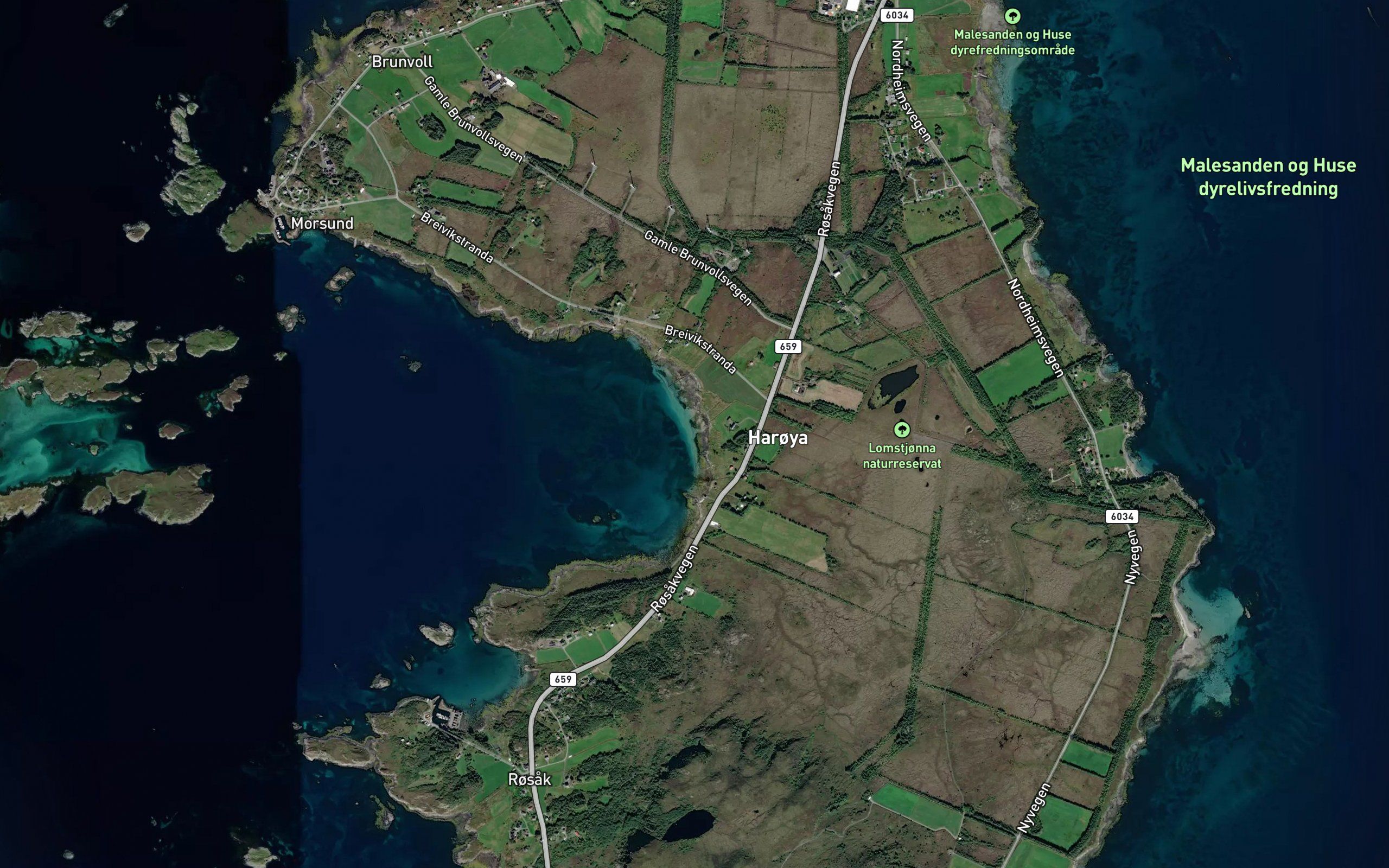 Breidvika