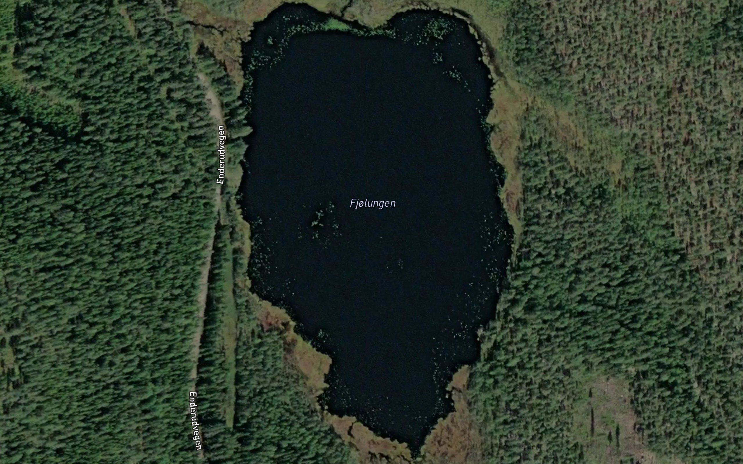 Fjolungen