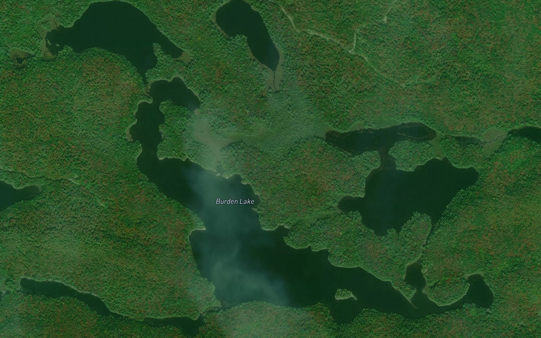 Satellite map of the Burden Lake