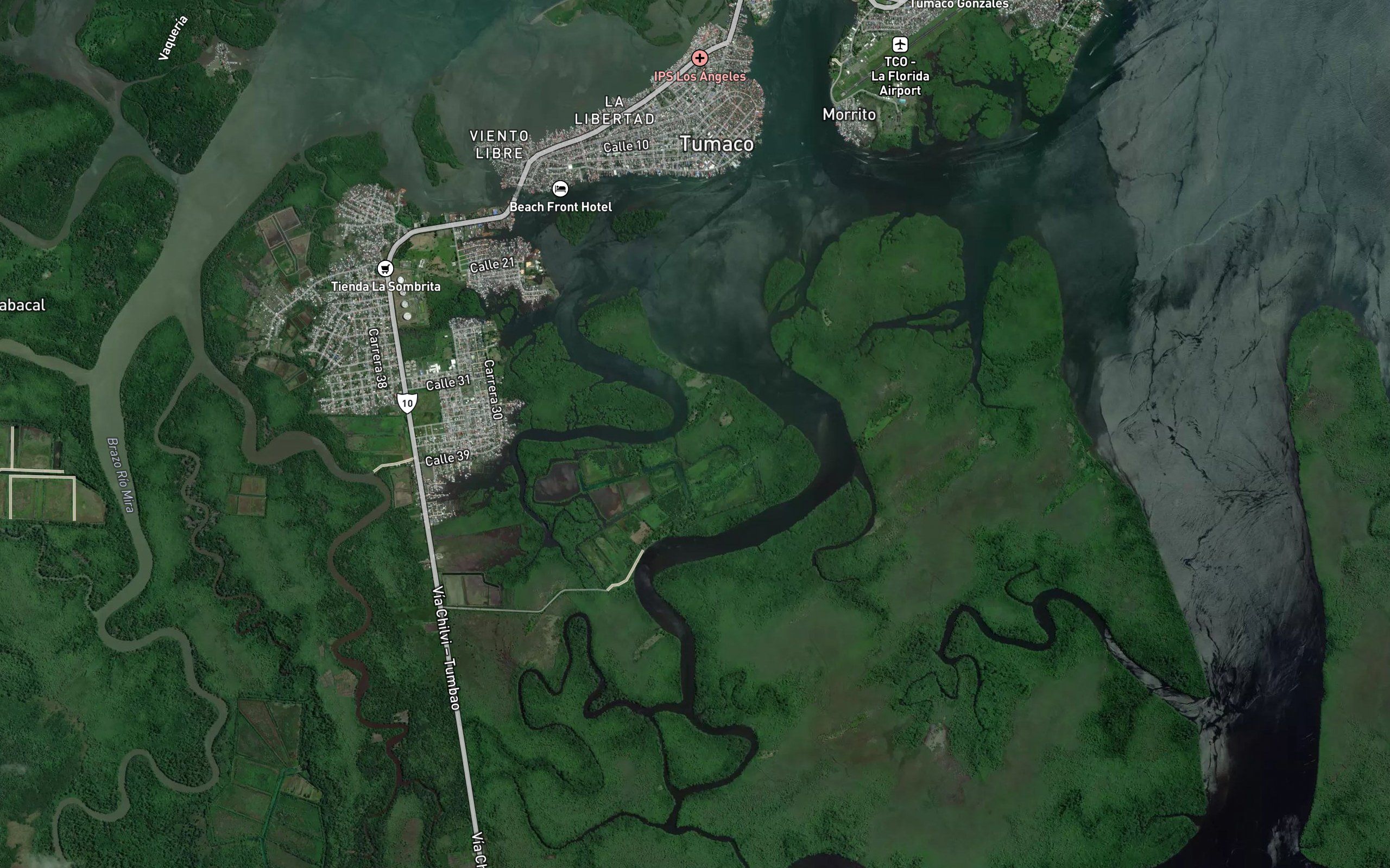Estero Natal