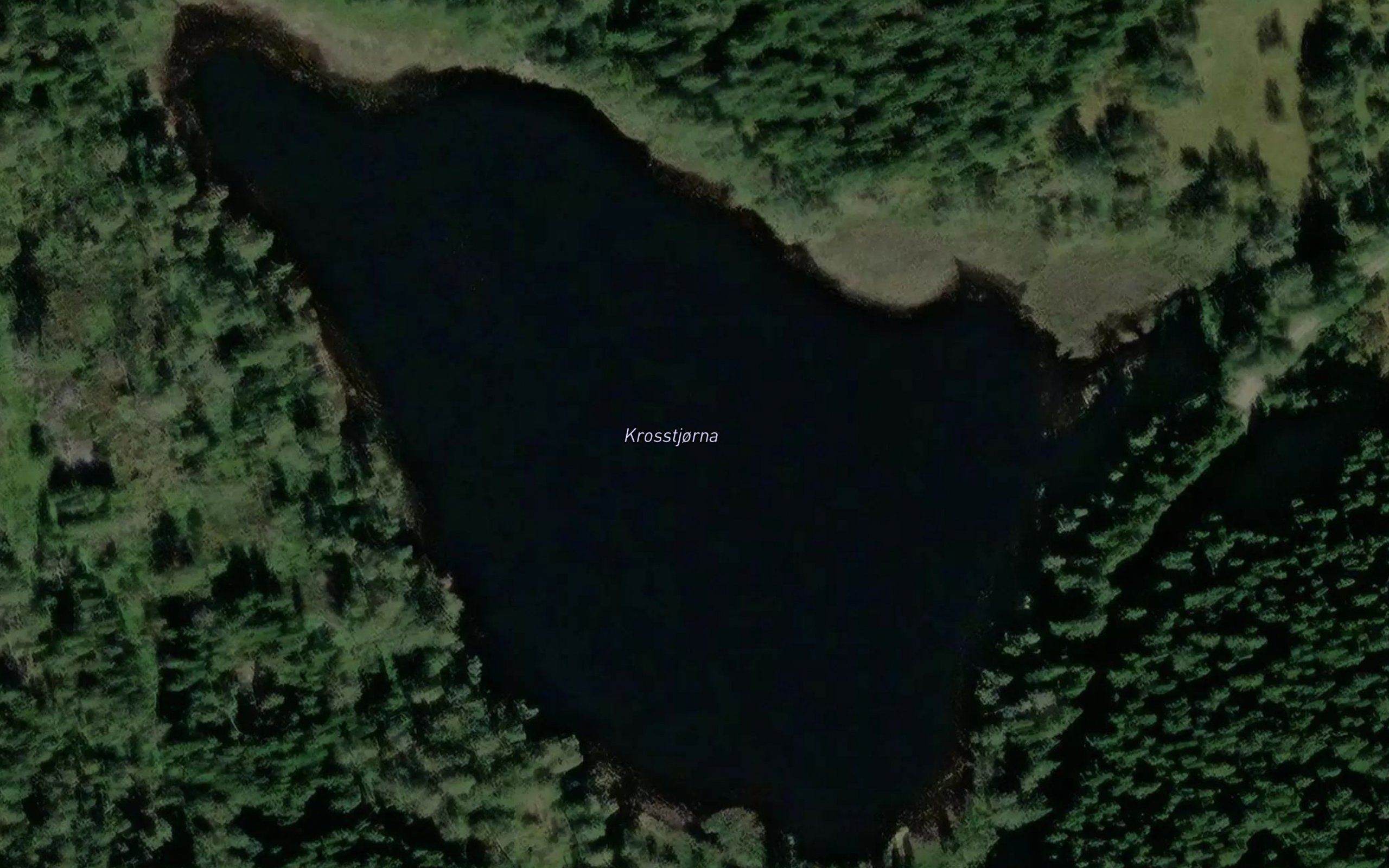 Krosstjorna