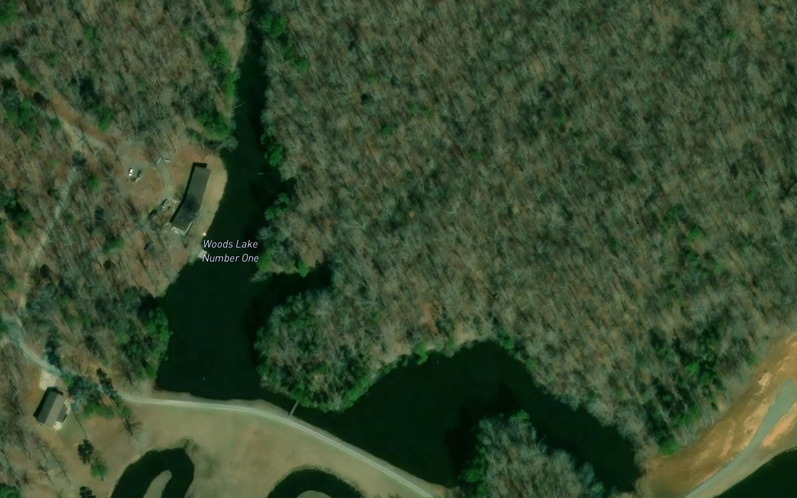 Woods Lake Number One