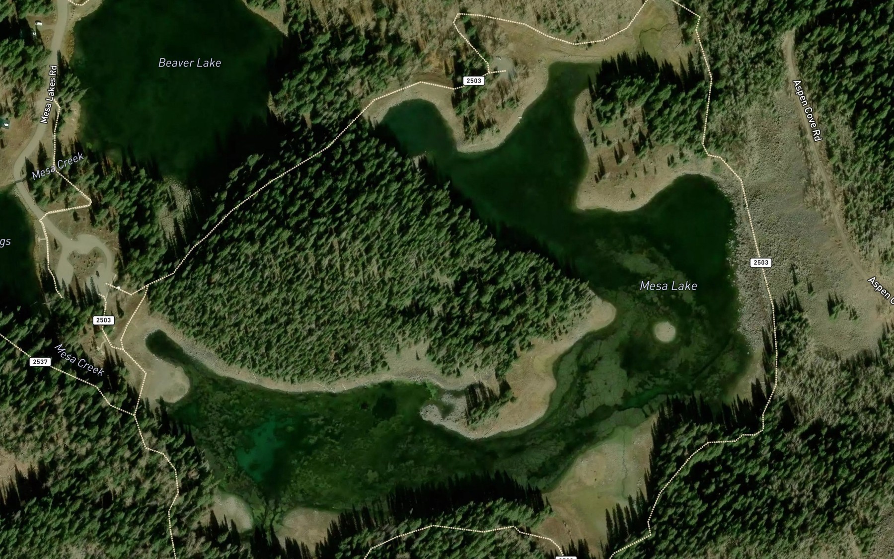 Satellite map of the Mesa Lake