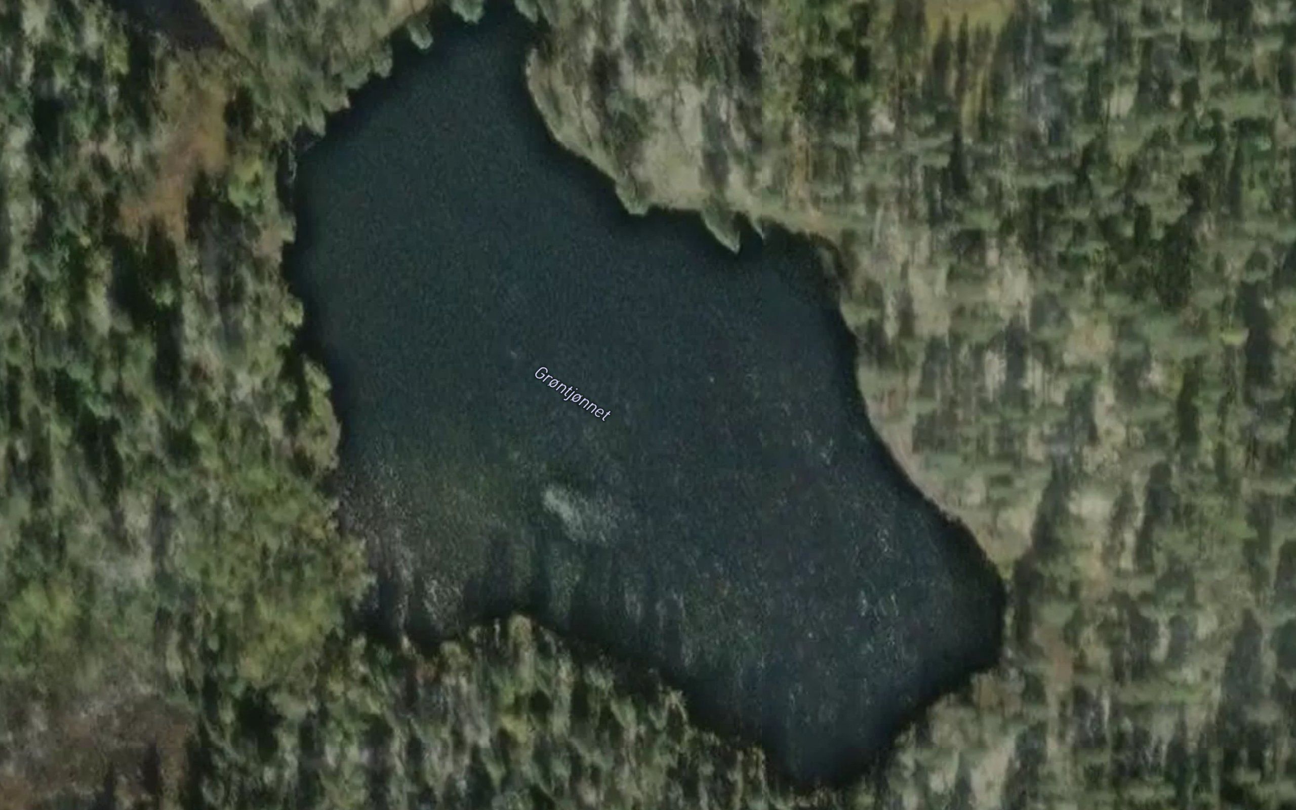 Gronntjernet