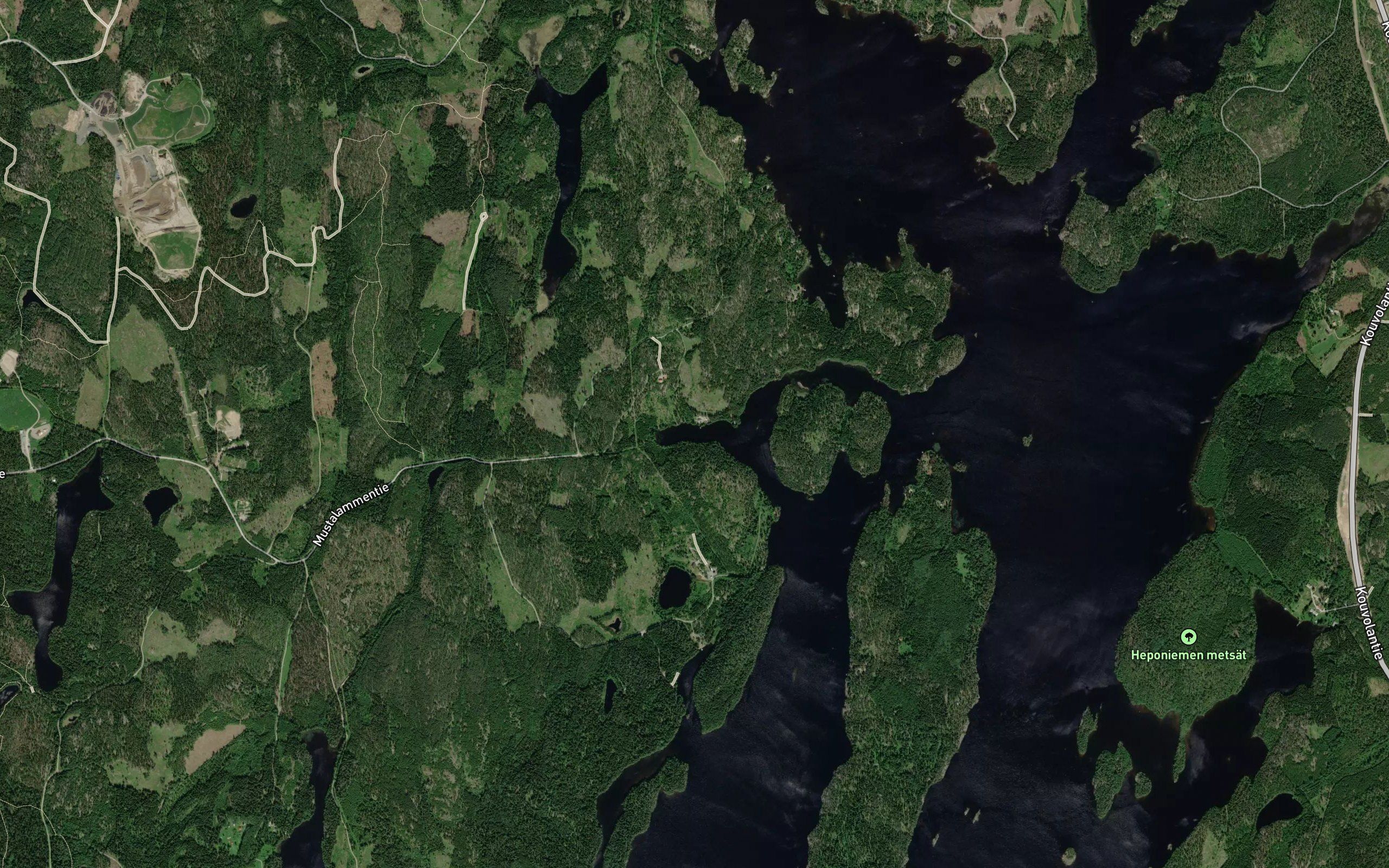 Koivulahti