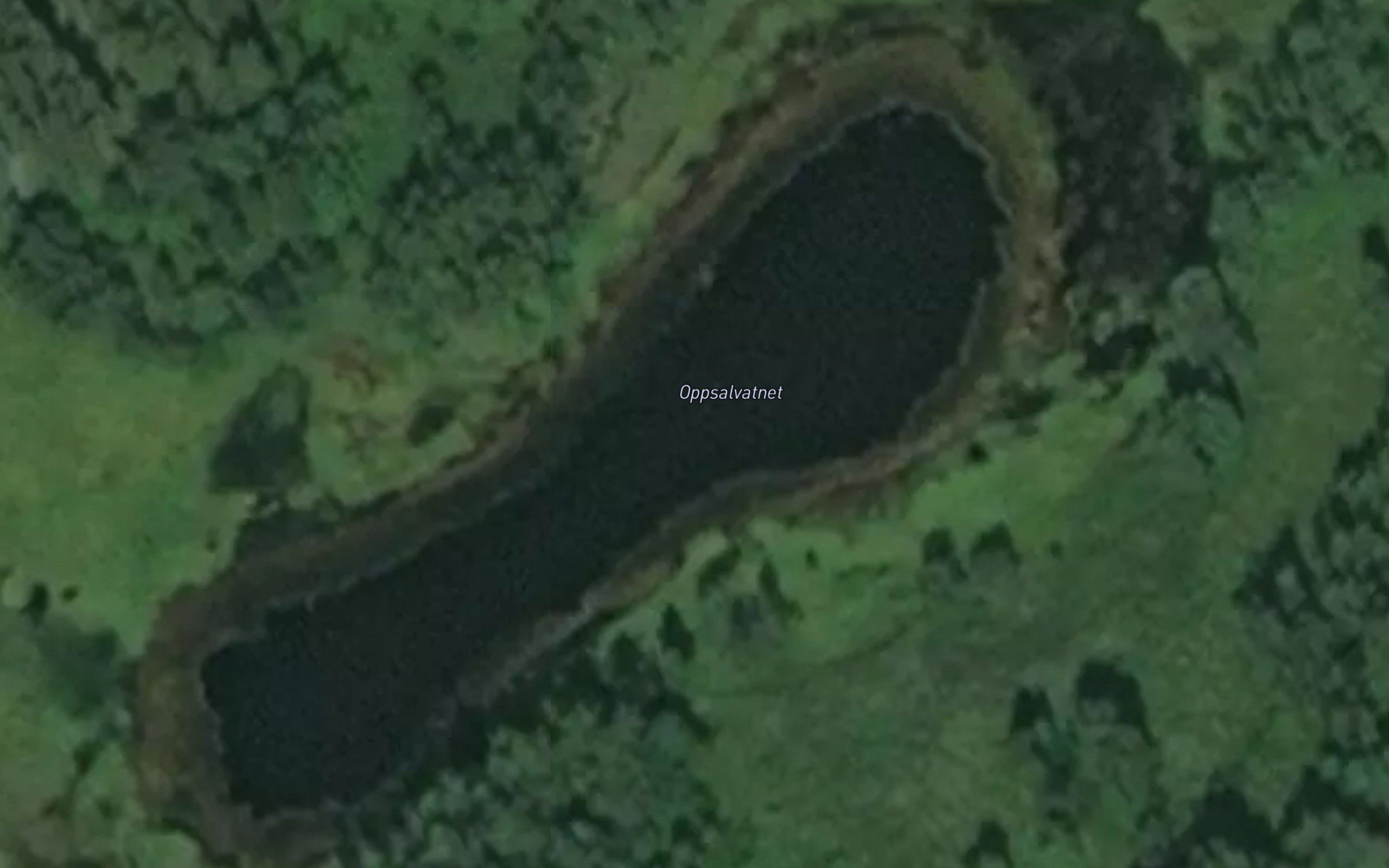 Oppsalvatnet