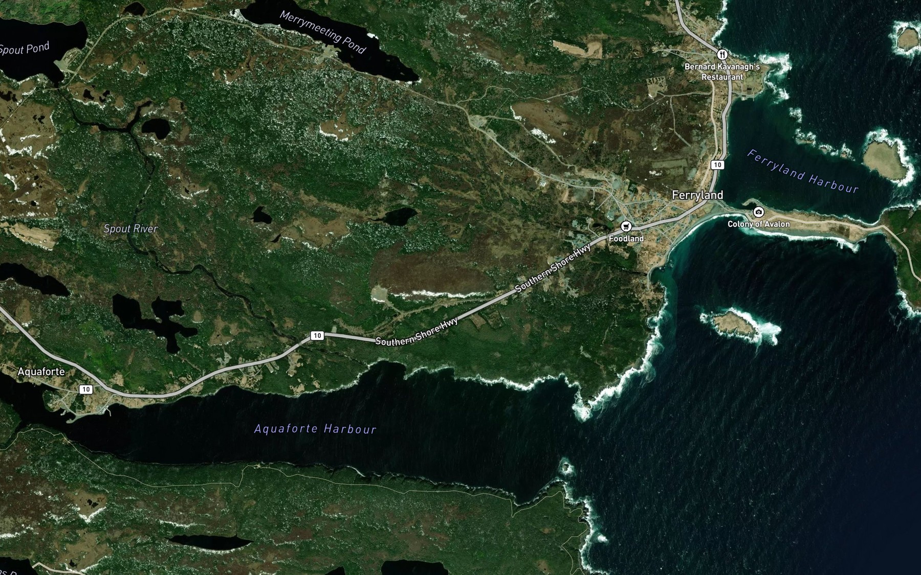 Satellite map of the Riverhead Pond
