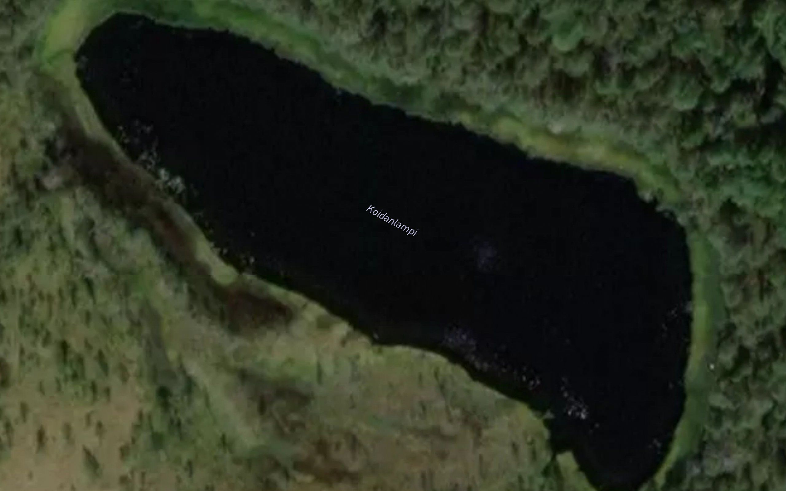 Koidanlampi