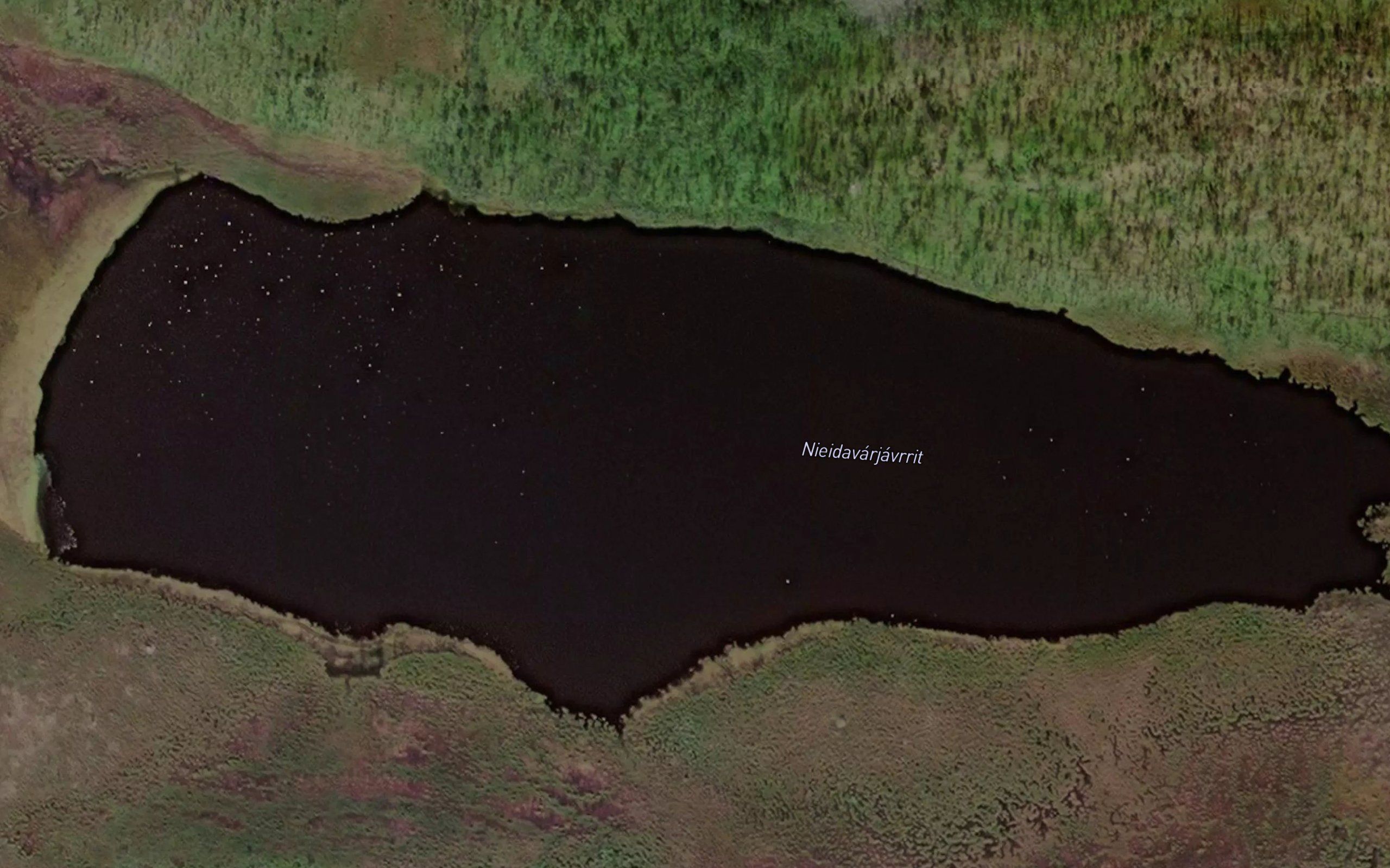 Nieidavarjavrit