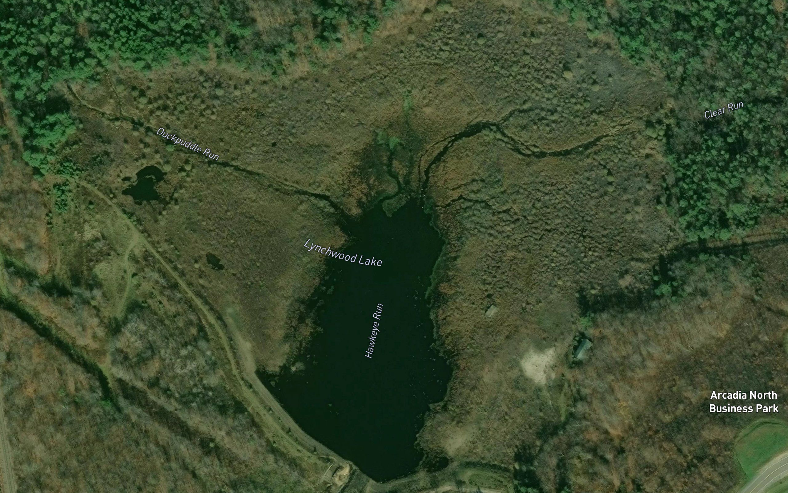 Lynchwood Lake