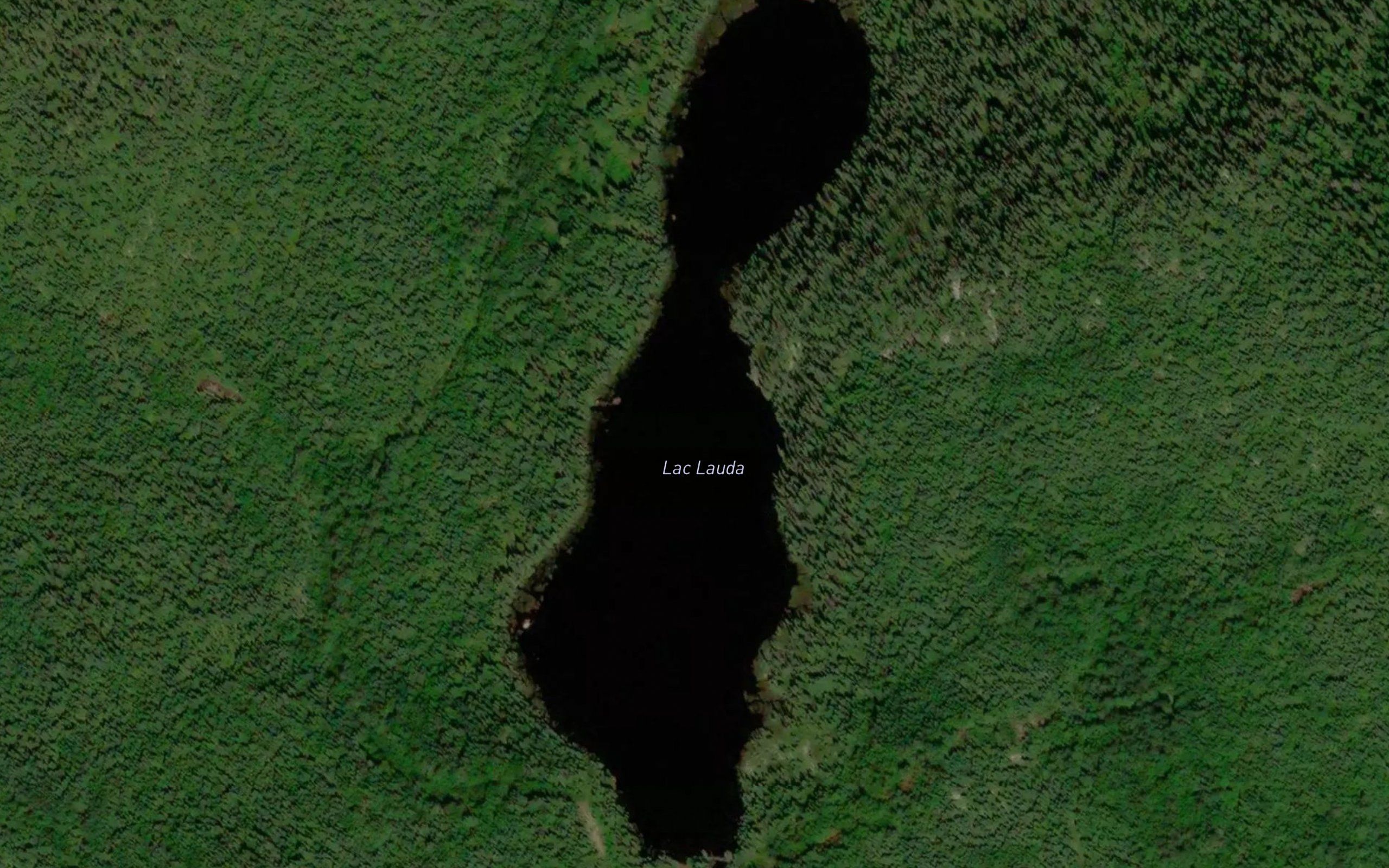 Lac Lauda