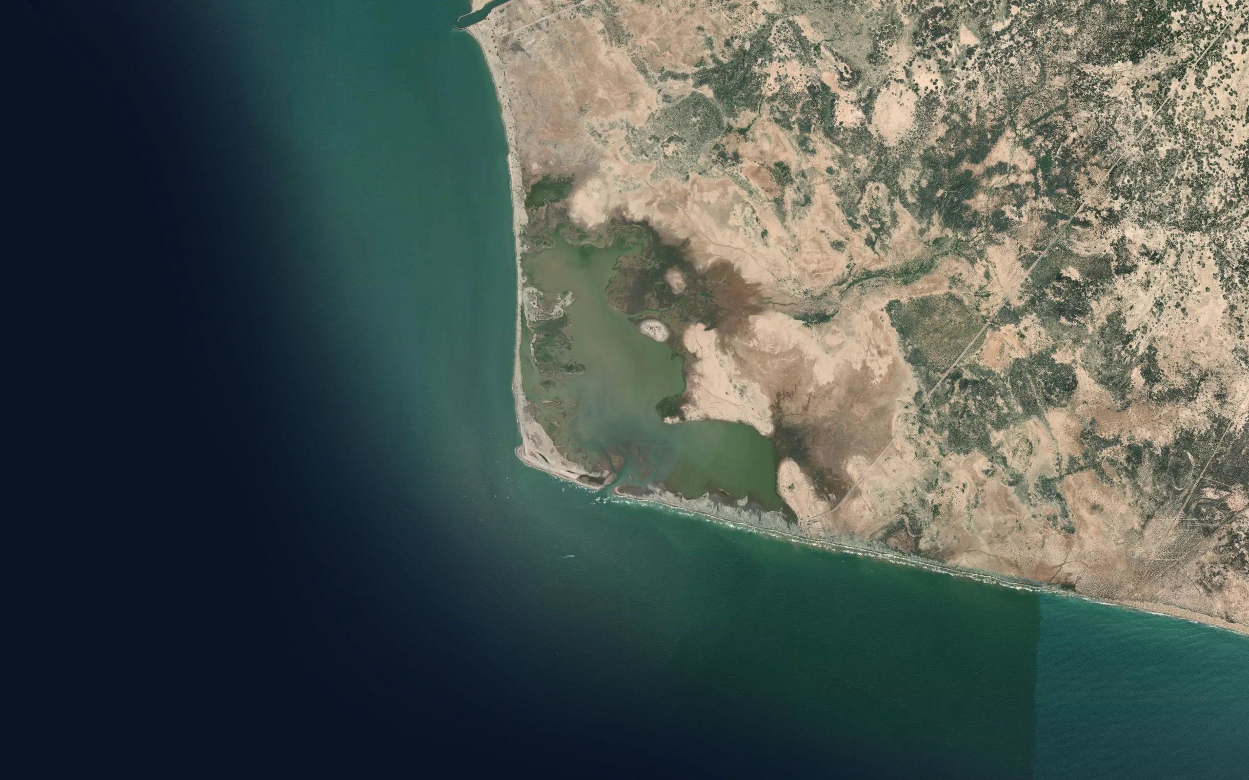 Estero Cardonal