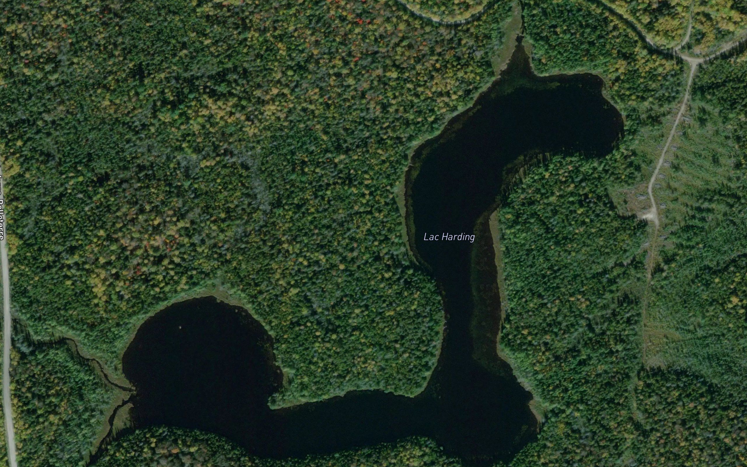 Lac Harding