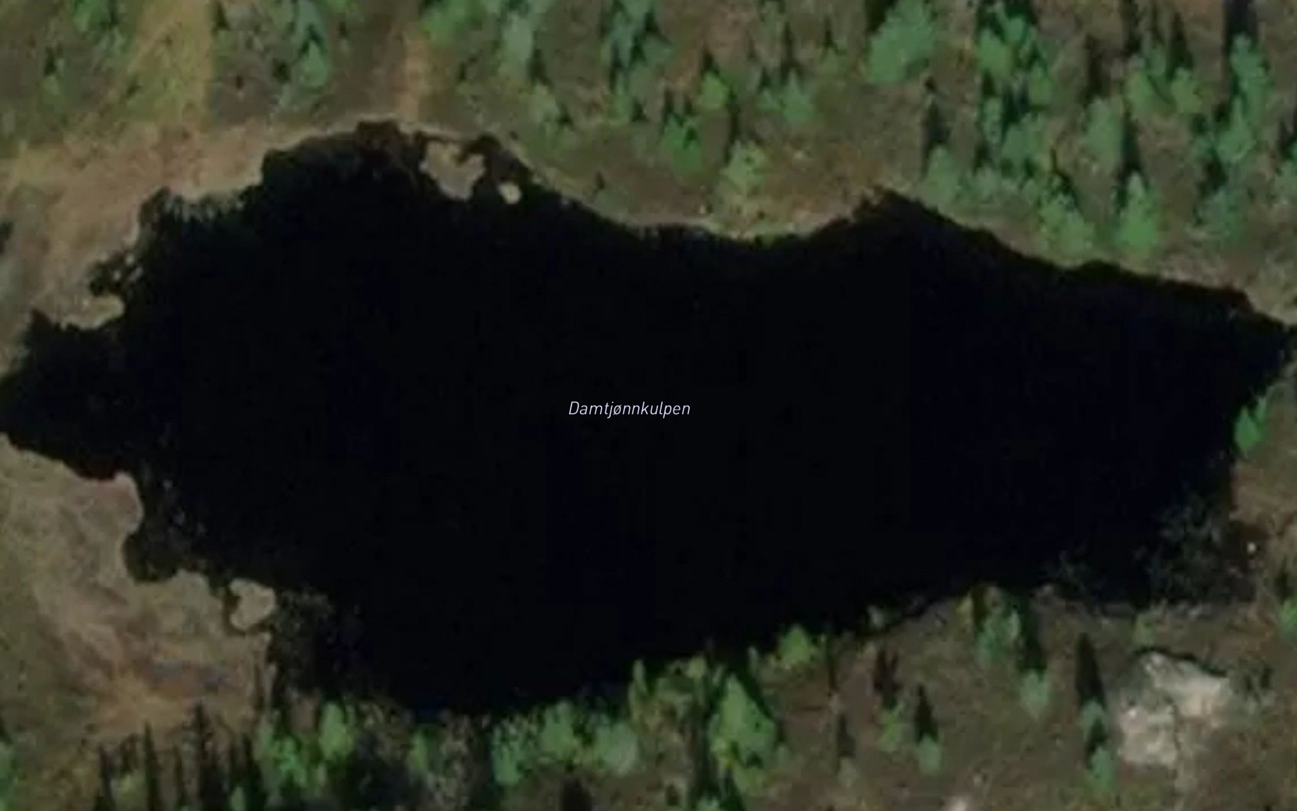 Damtjonnkulpen