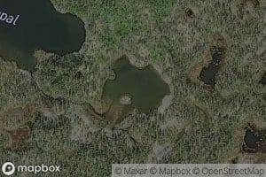 Lille Villreintjonna