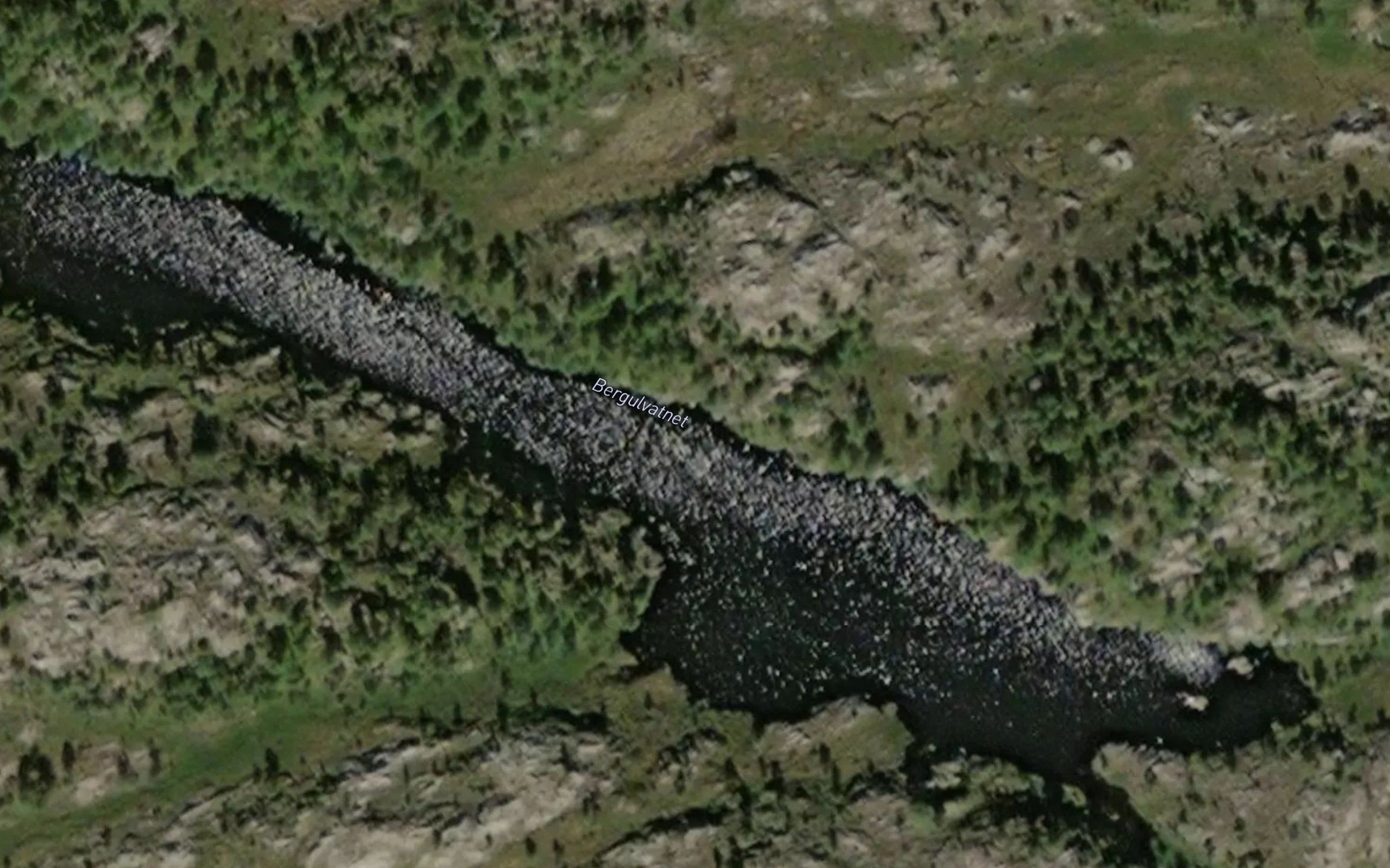 Bergulvatnet