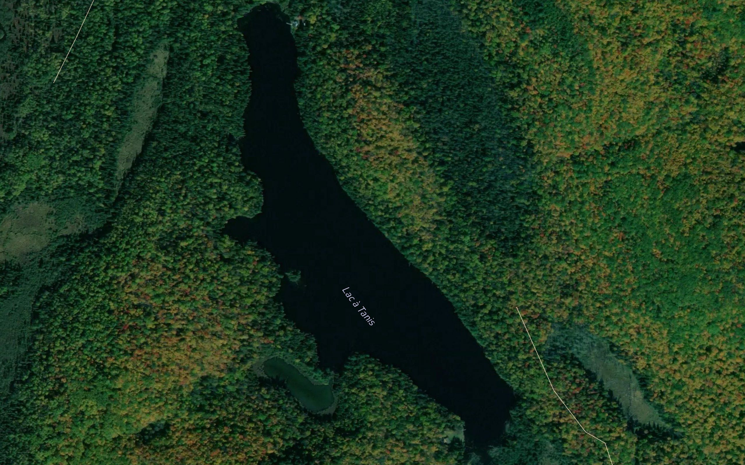 Lac a Tanis